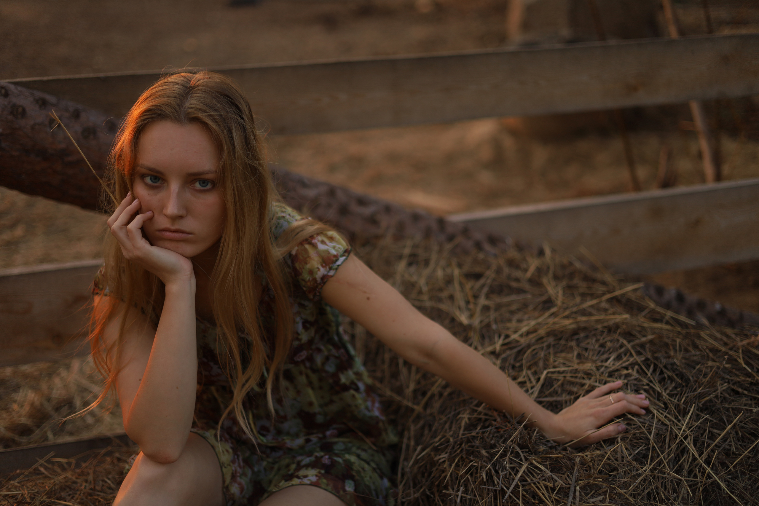 Елена. Семейный и детский фотограф в Новосибирске, Москве Анна Кутарева