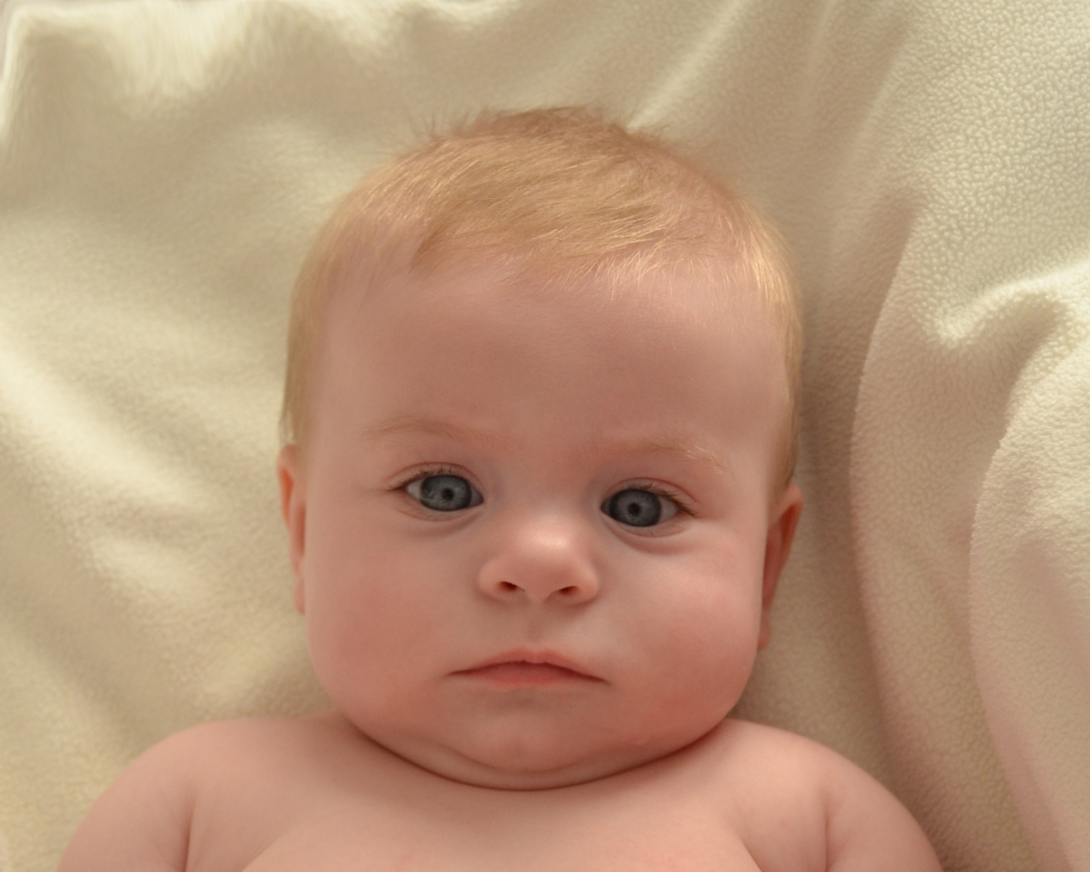 Ева. Семейный и детский фотограф в Новосибирске, Москве Анна Кутарева