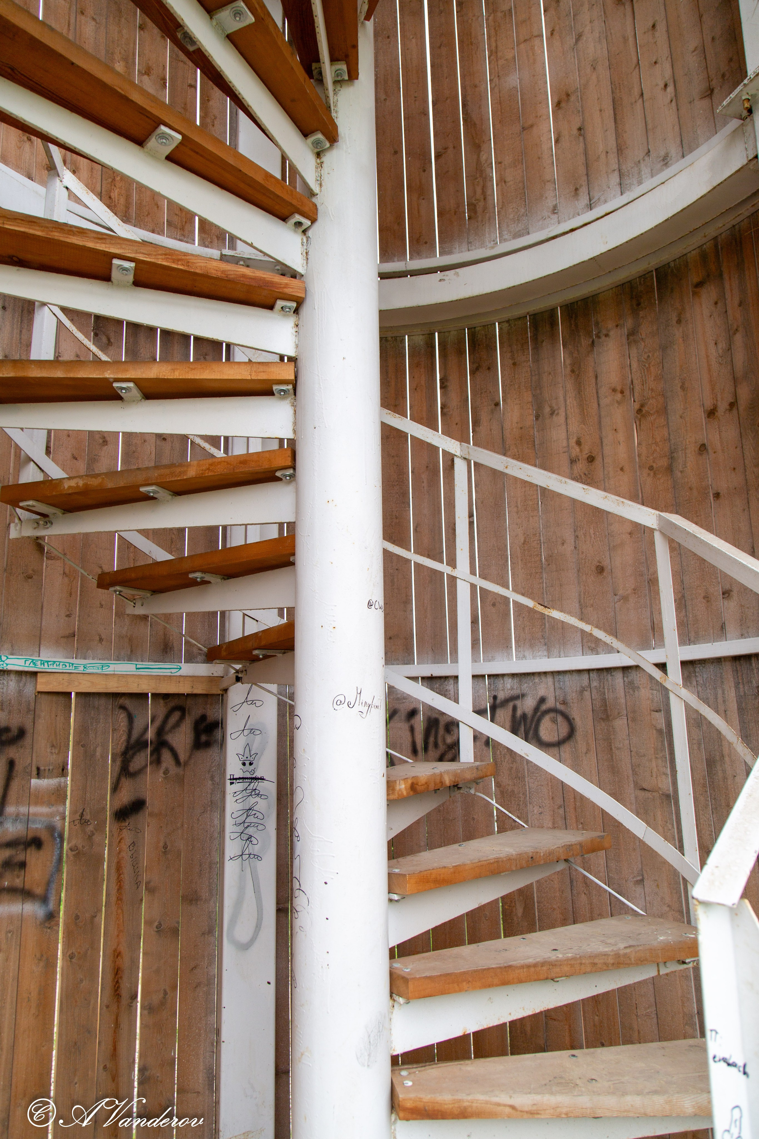 Калачинск 07.07.2024. Фотограф Омск | Александр Вандеров