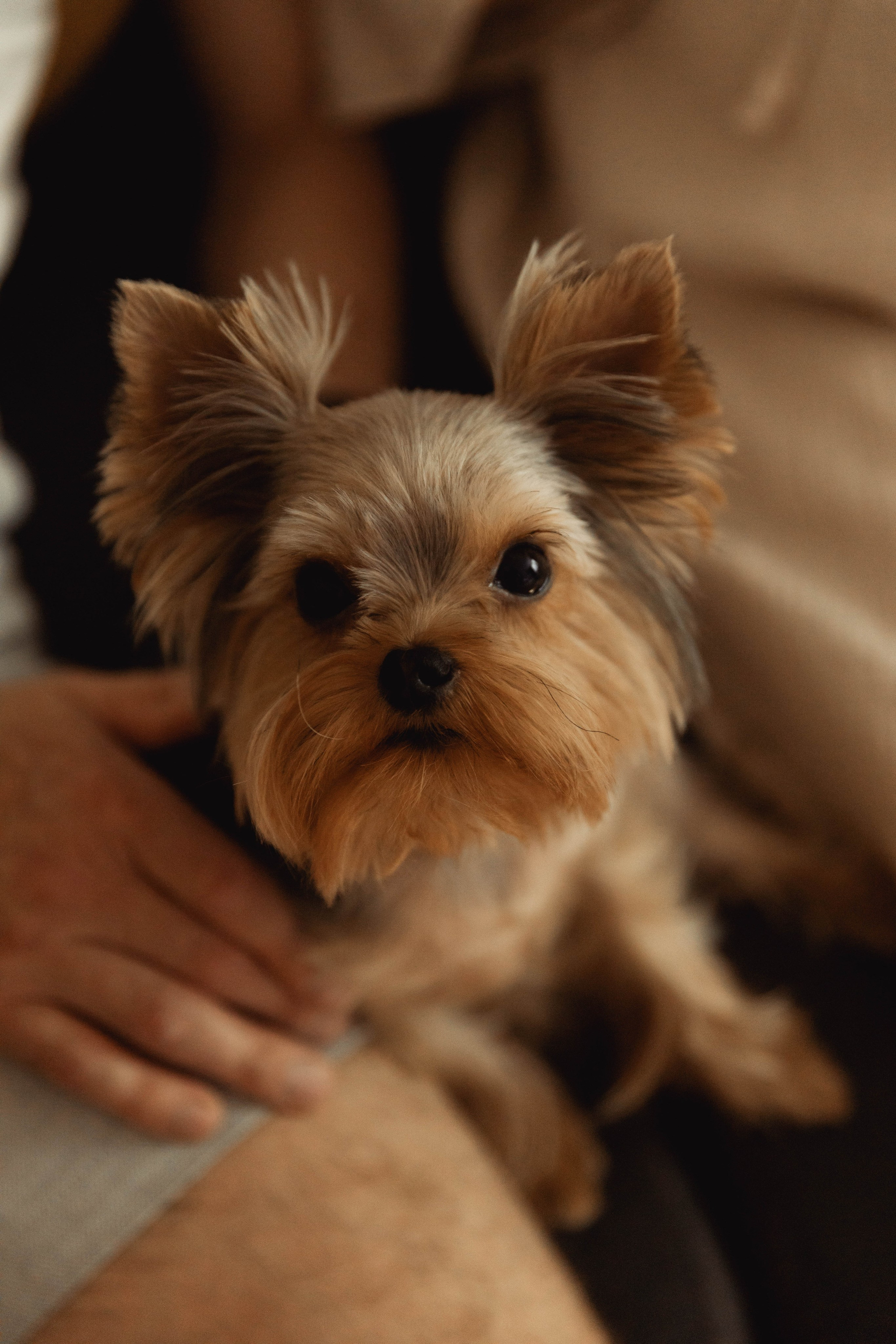 Частичка существующей жизни. Семейный и свадебный фотограф Лилия Матонина | Ангарск, Иркутск, Усолье-Сибирское, Байкал (Листвянка, Ольхон), Иркутская область