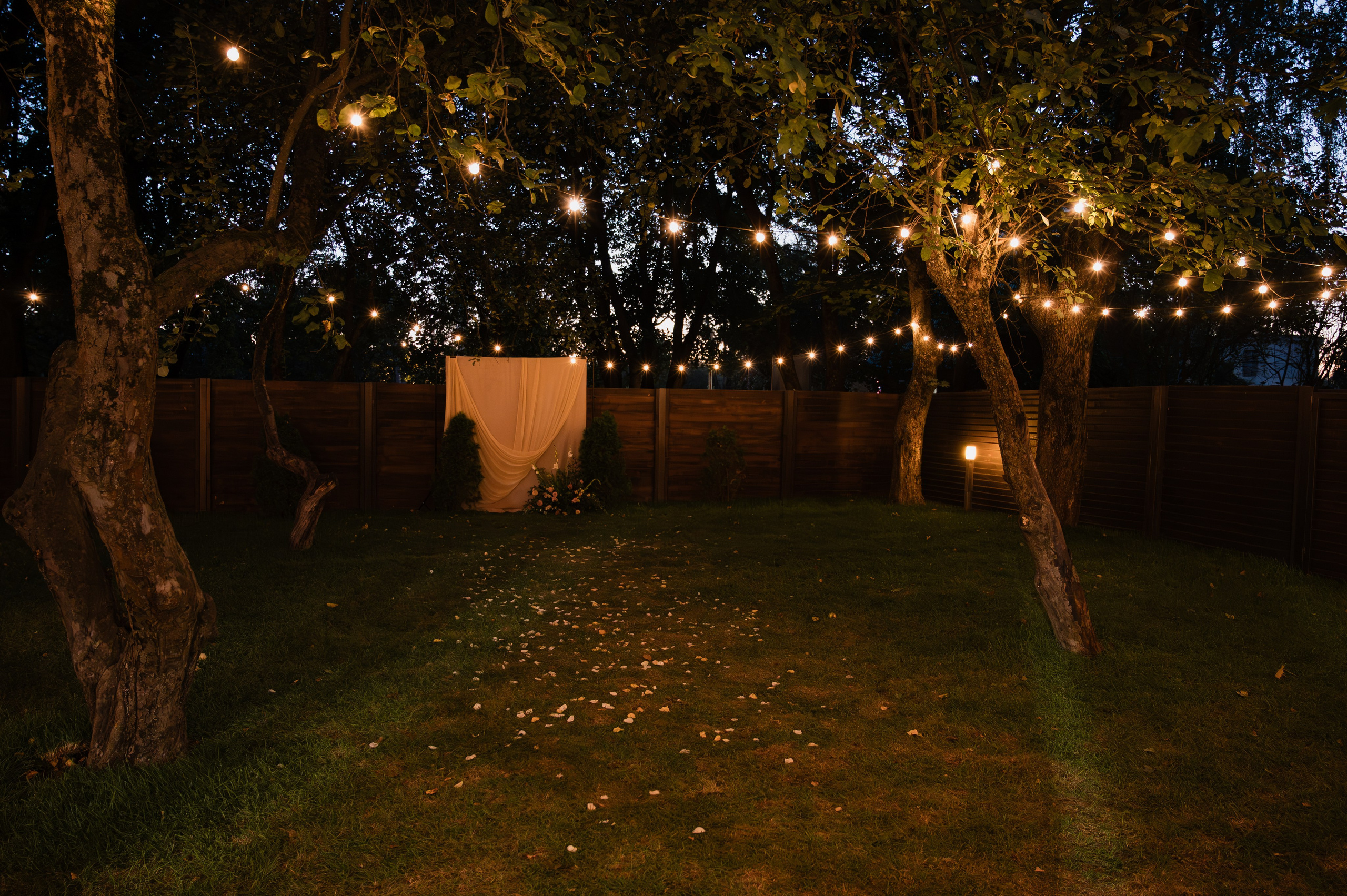 Никита & Анастасия. Портретный и свадебный фотограф в Москве Анастасия Терентьева