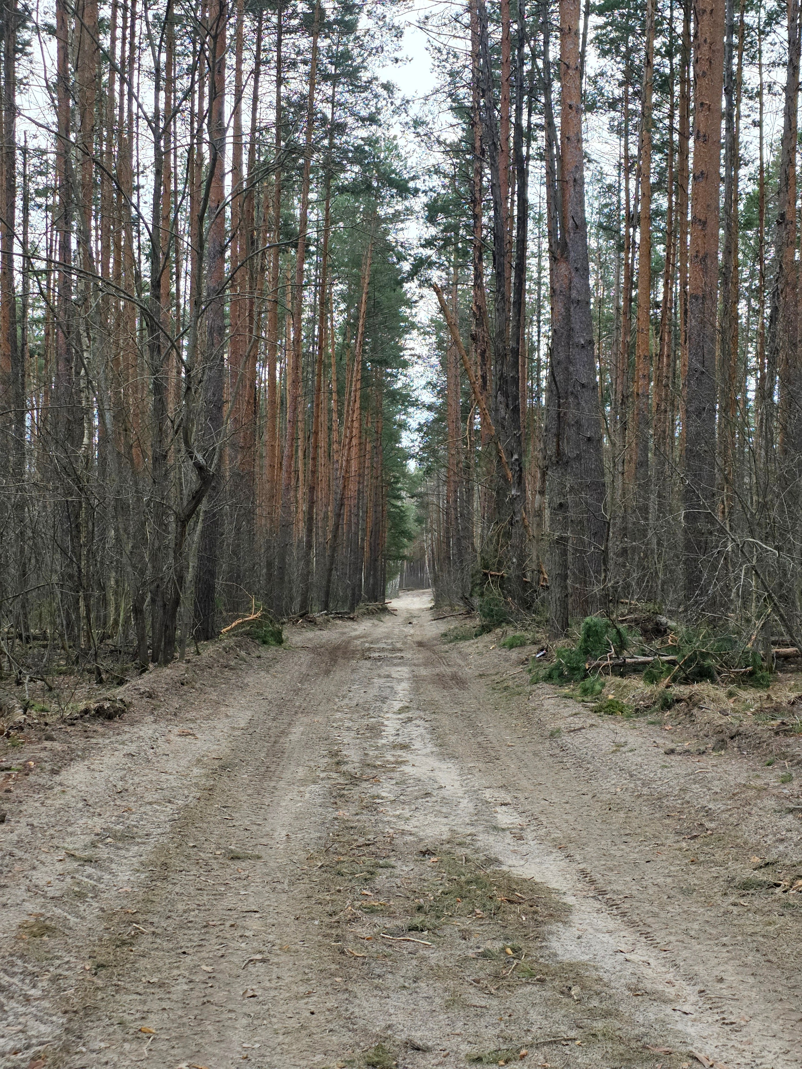 Пейзаж. Фотохудожник BID