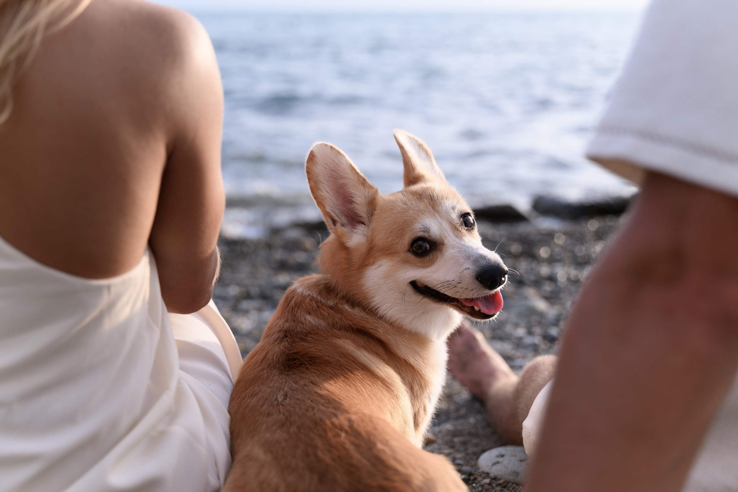 Фотосессии семейные в Сочи на море: даже если вы не женаты, любовь и гармония прекрасно передаются на фоне  моря
