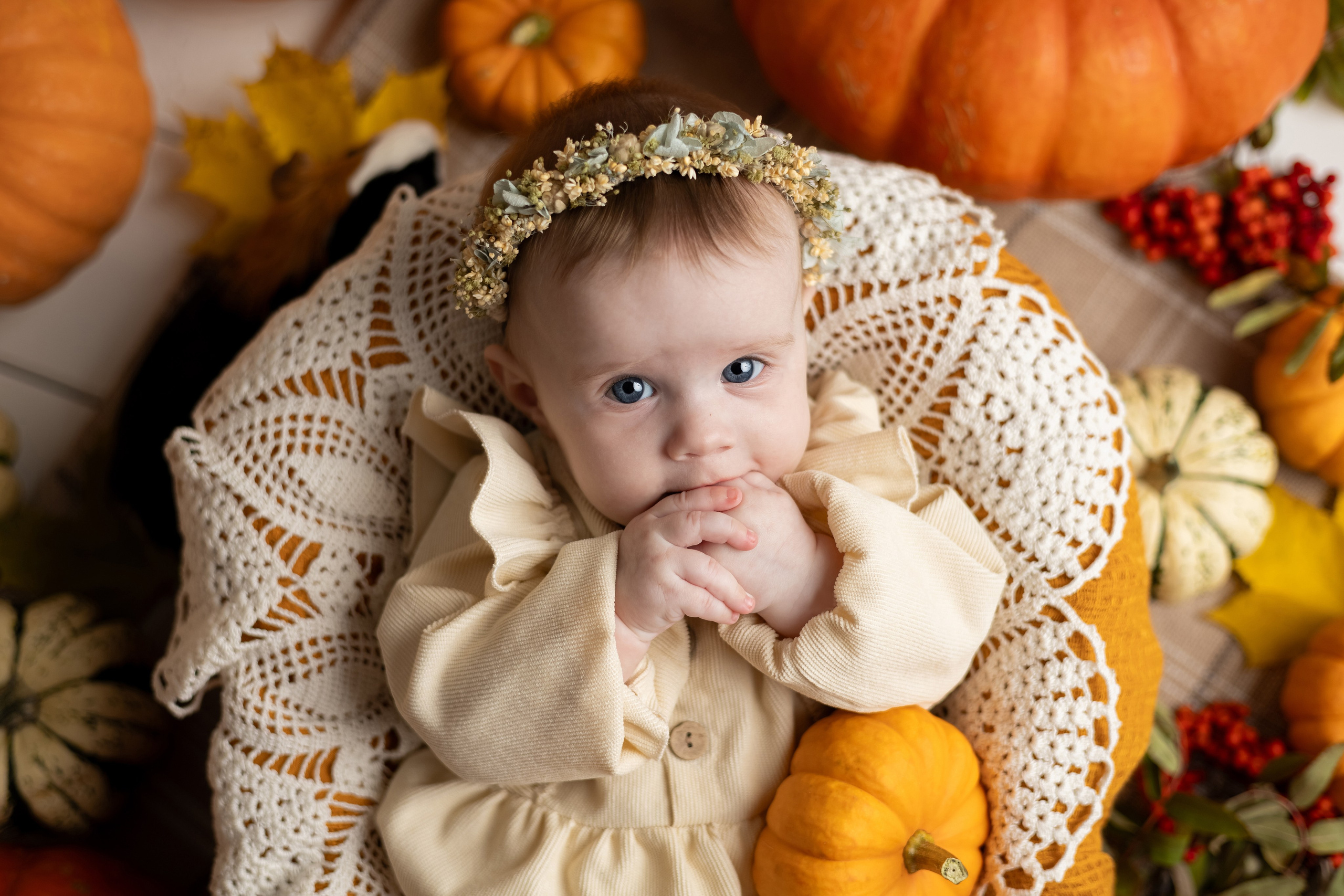 Тематические фотопроекты. Главная