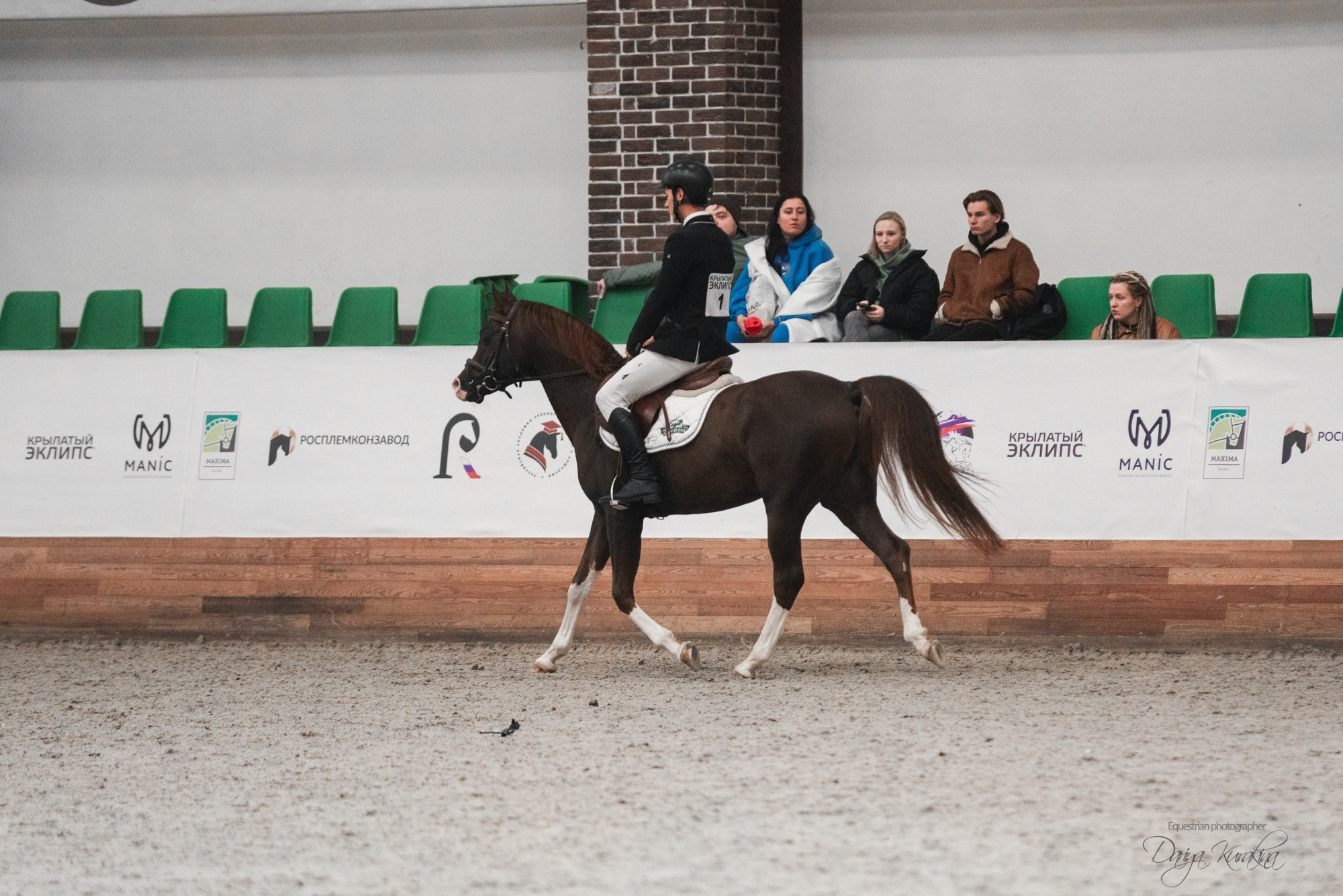 8-я международная выставка Конная Россия. Конный фотограф Куракина Дарья • Фотосессии с лошадьми