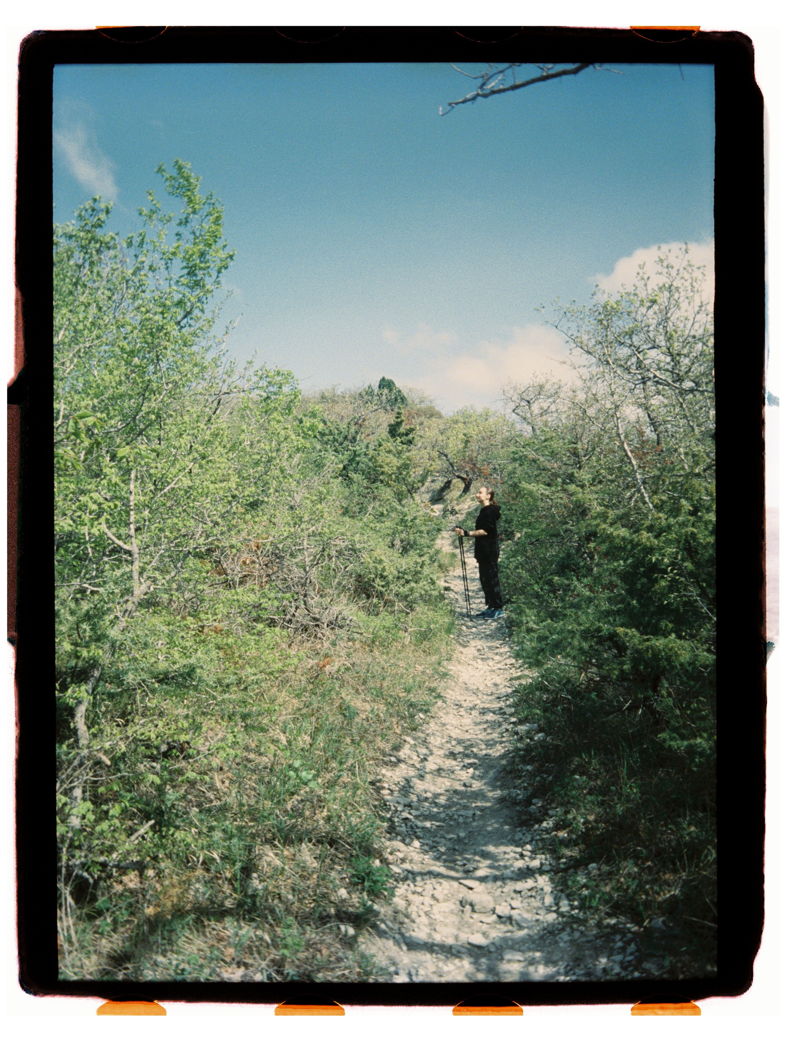 Юг. Профессиональный Фотограф во Владимире, в Москве и в Суздале — Полина Романычева