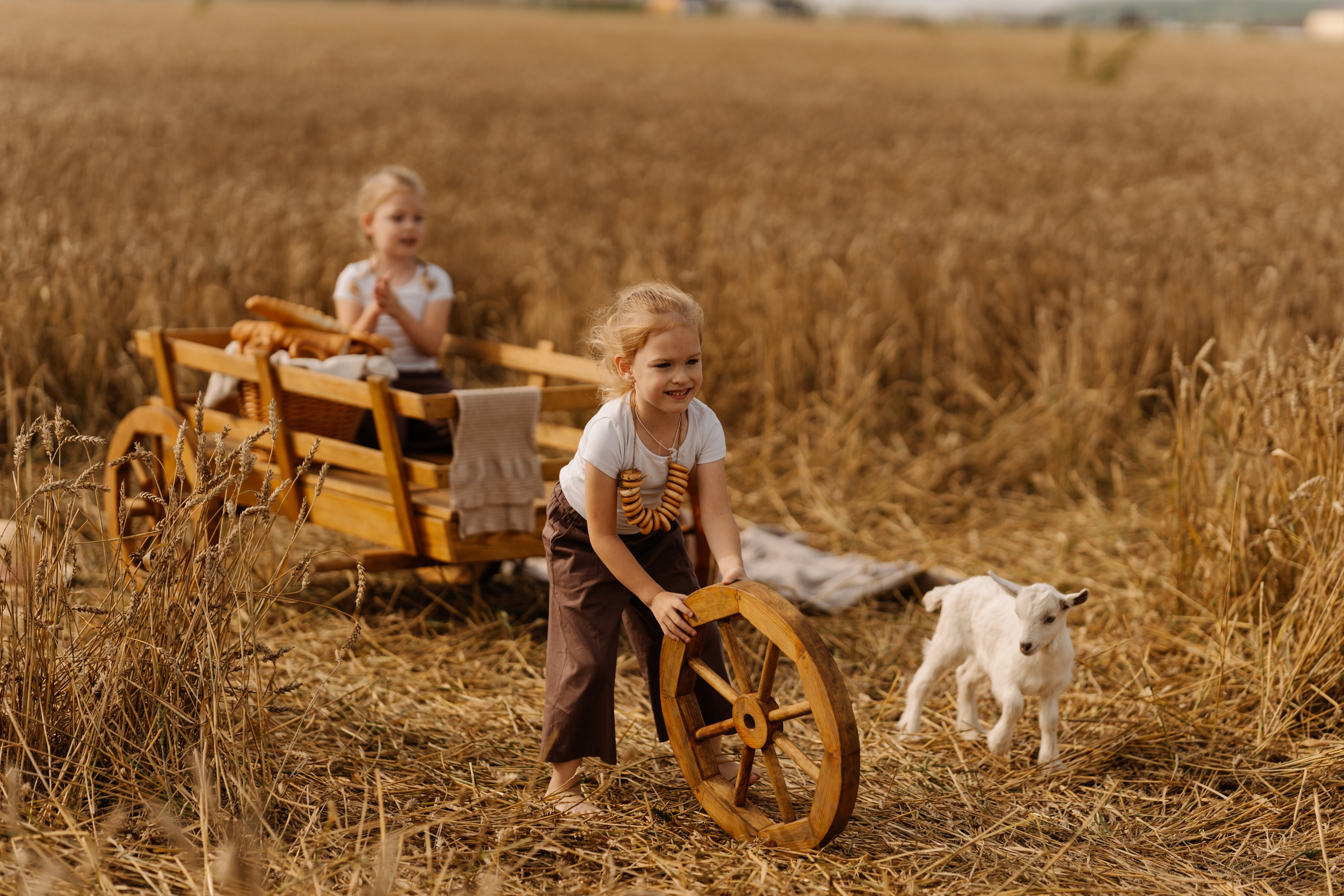 Девочки с козленком. СВАДЕБНЫЙ ФОТОГРАФ КРАСНОЯРСК
