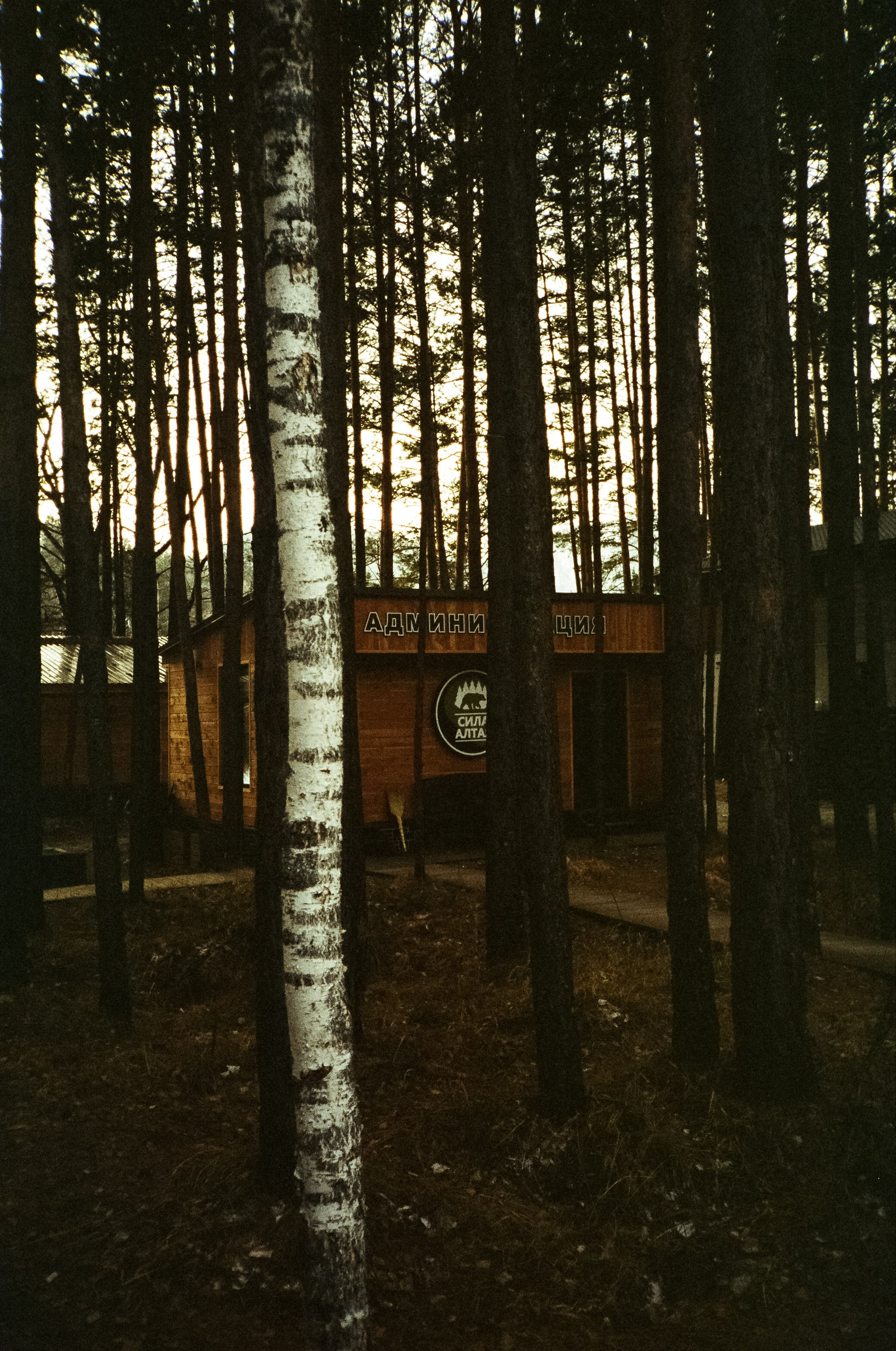 Дорога в сторону Сада Пионов, база Сила Алтая / 15 — 16 декабря 2023 г