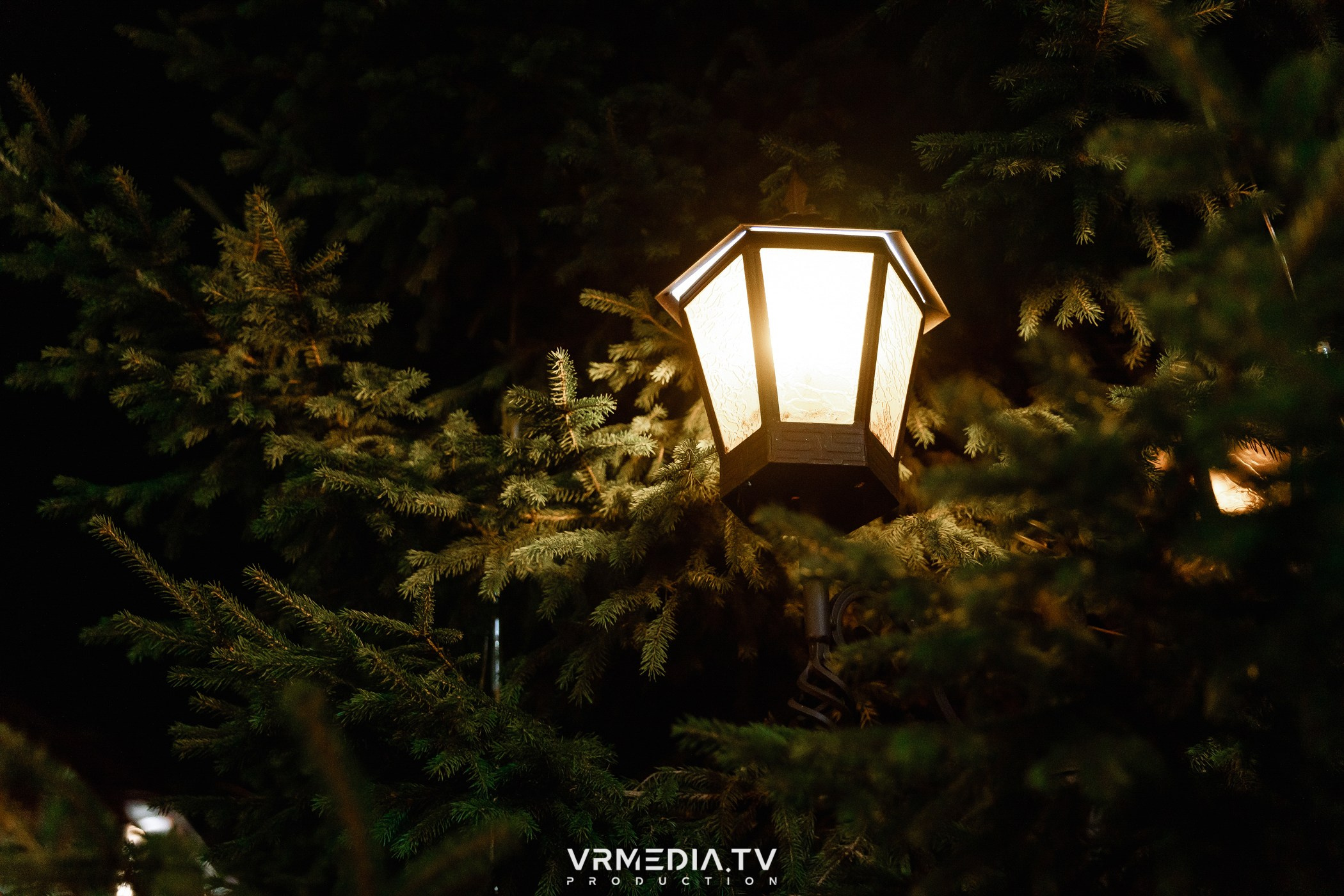 Выходные в ресторане «Лазурный берег»