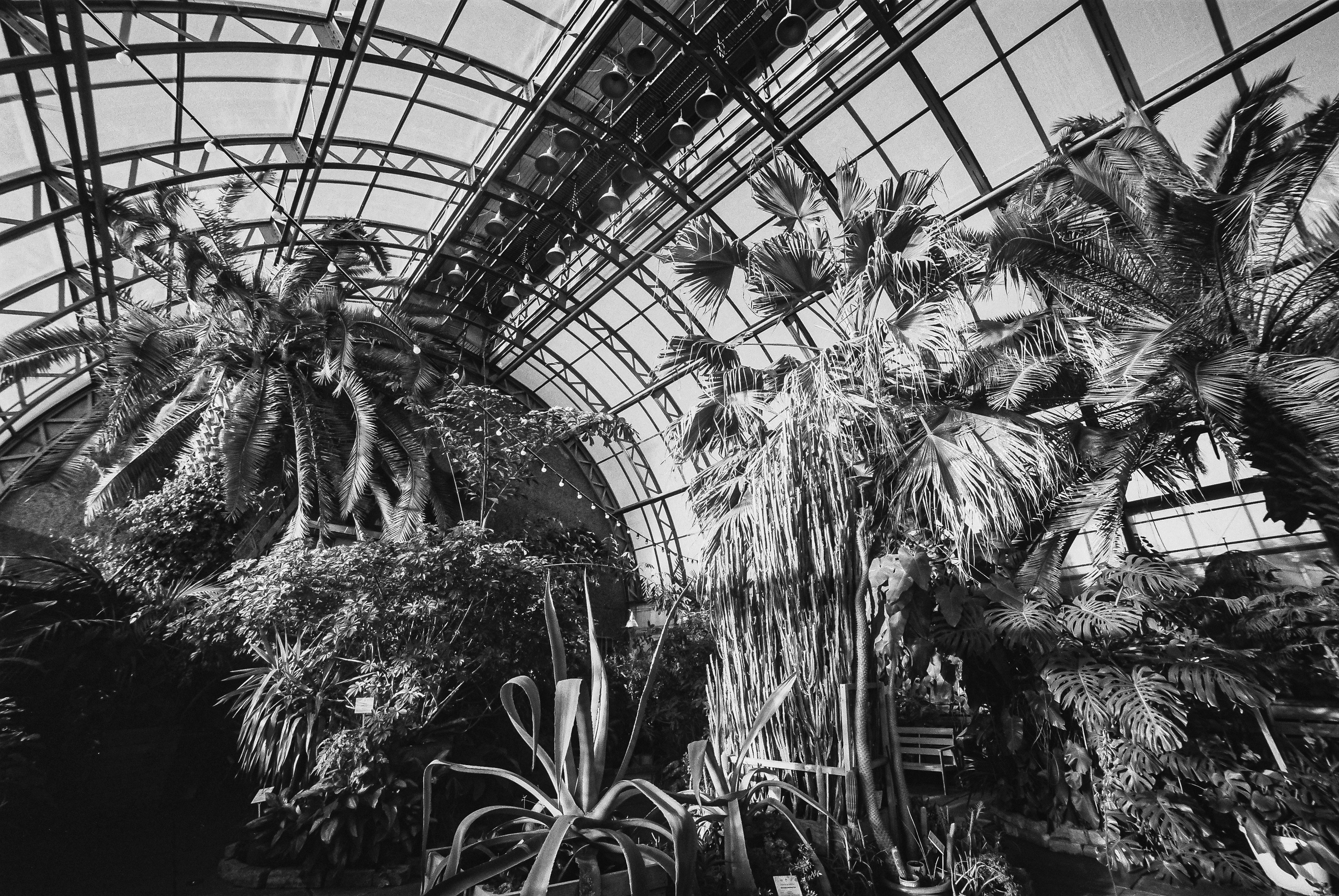 Свадьба Яны и Бориса. Polinanazar//Полина Назарова, фотохудожник