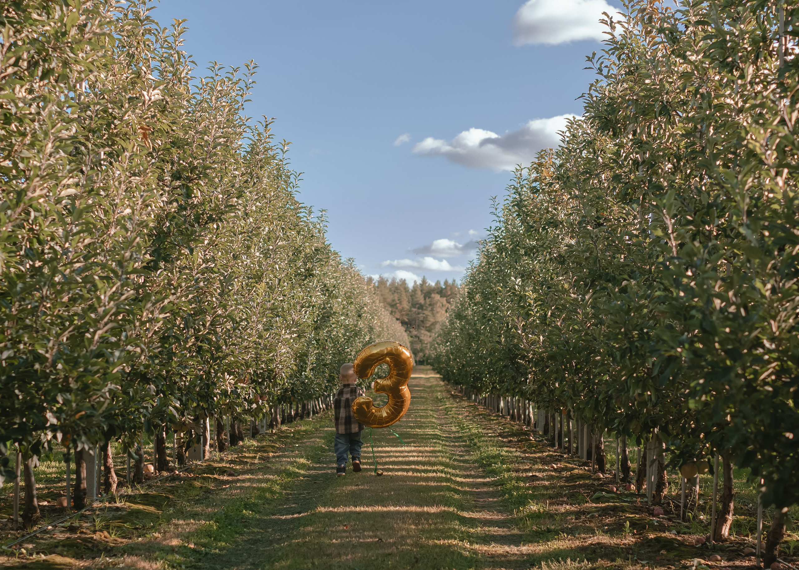 Семьи|Пары. Мира Мерцалова фотограф Москва