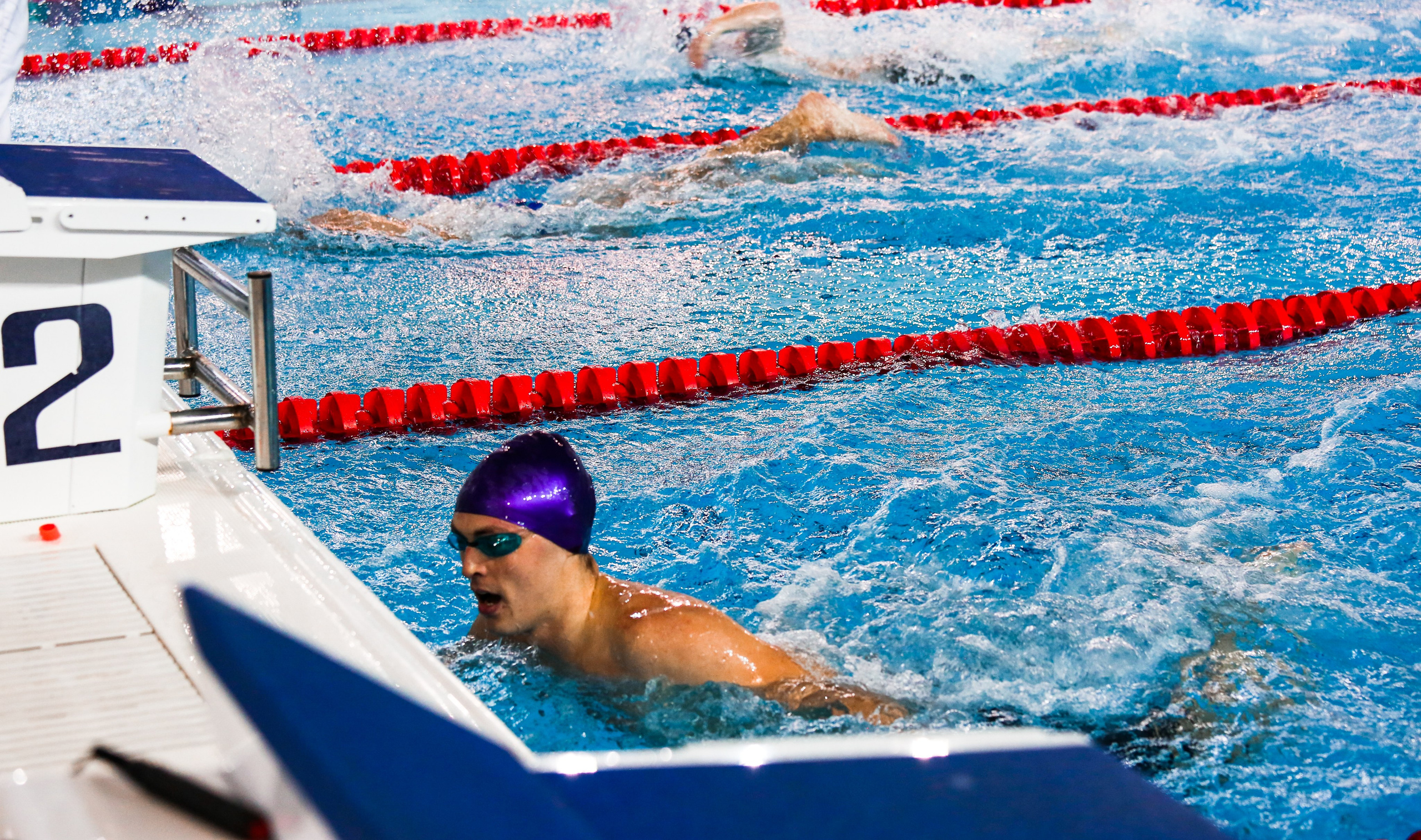 Соревнования по плаванию. Репортажный, семейный, свадебный, портретный фотограф