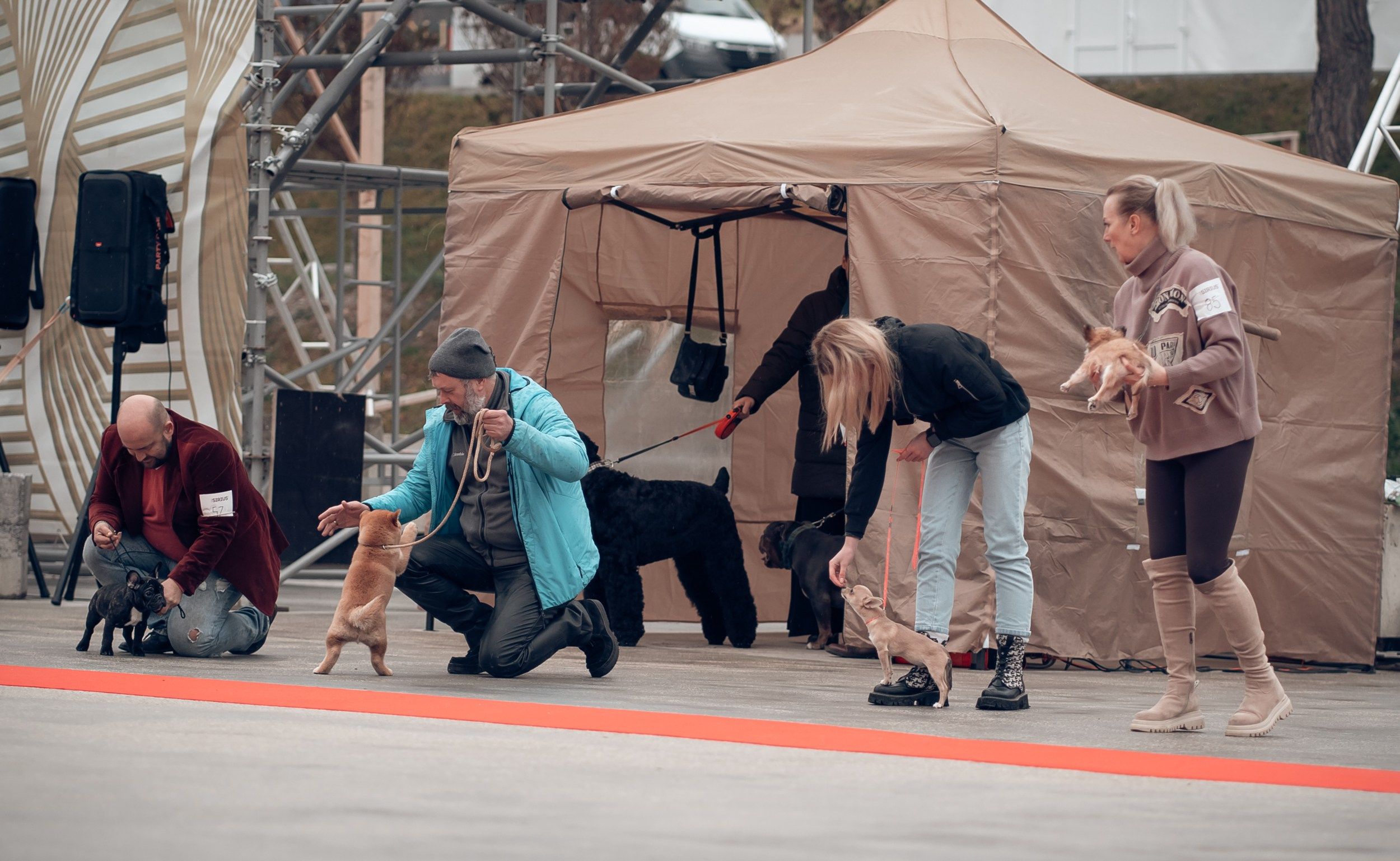 Благотворительная выставка собак в Новом Херсонесе г. Севастополь. Церковный фотограф Севастополь