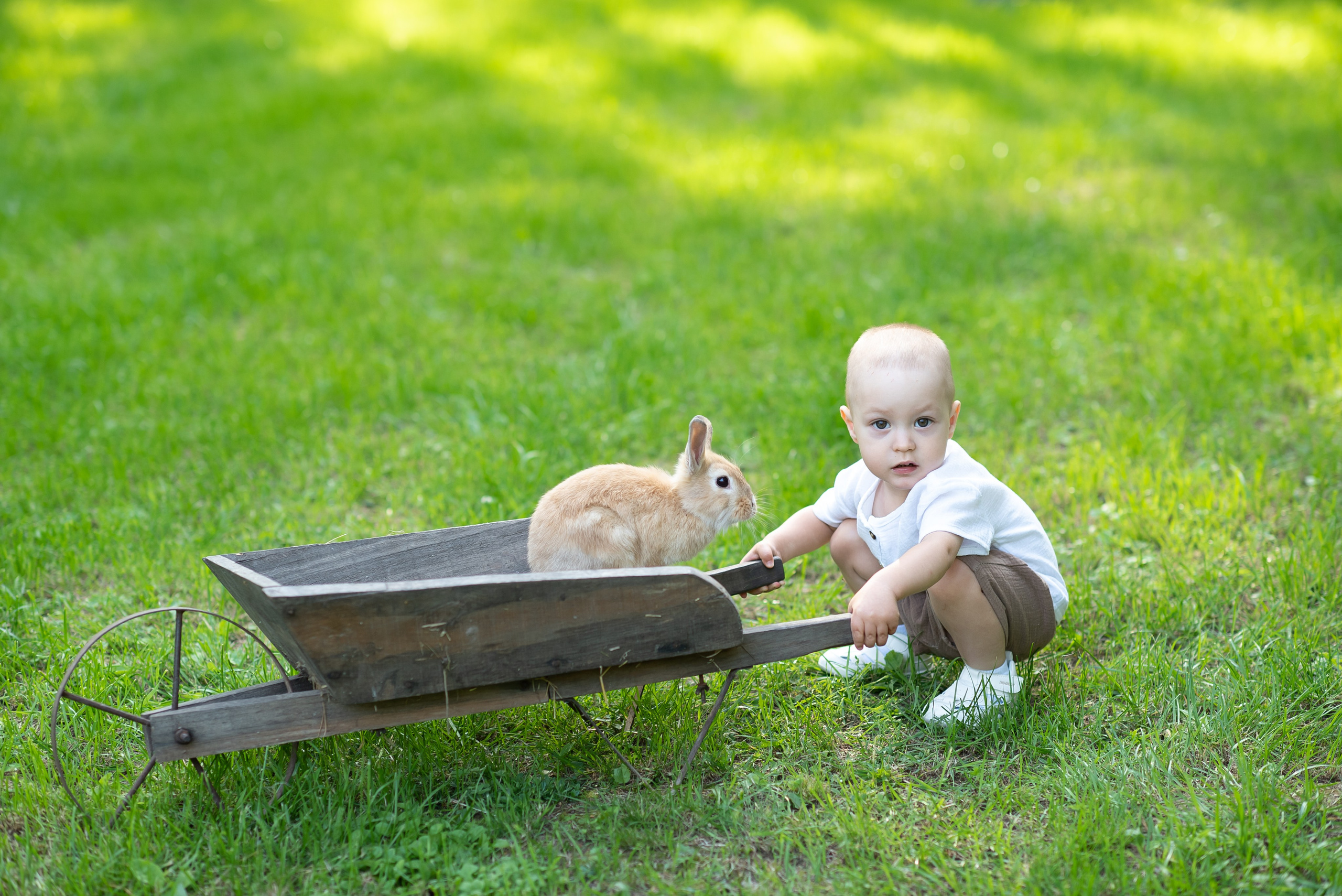 Фотостудия Лес Чудес. Фотограф Мария Усманова, Казань