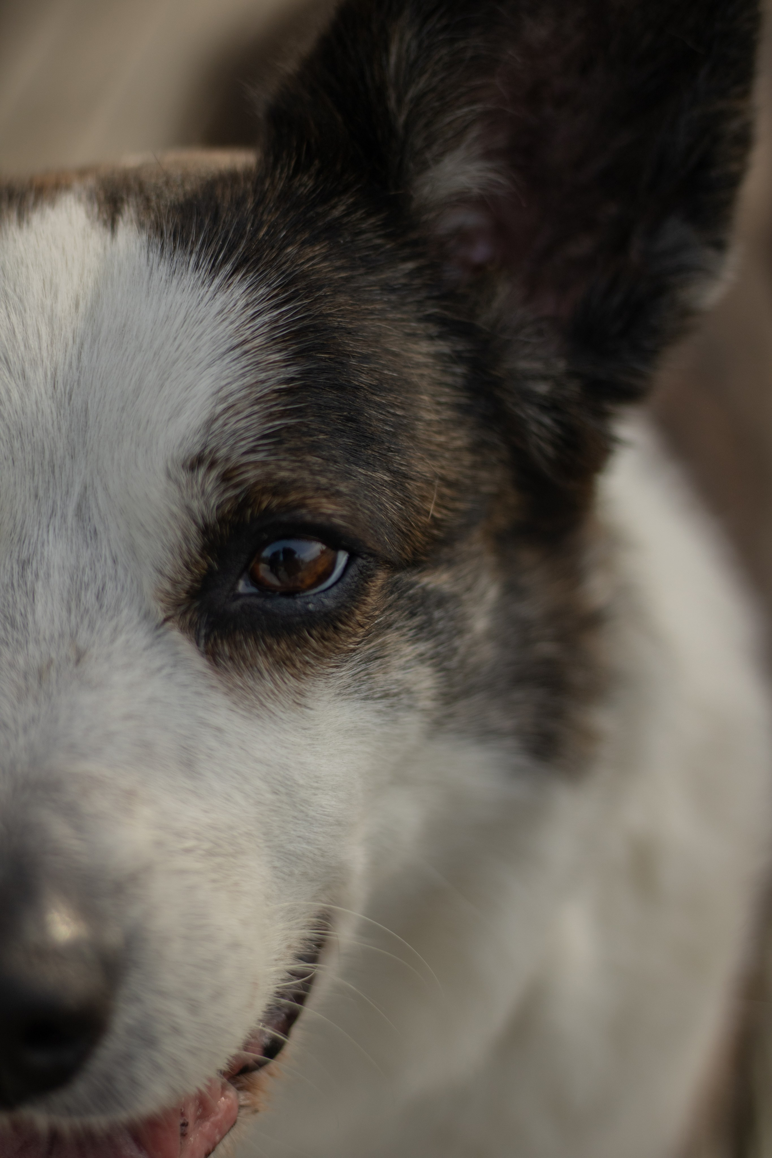Юлия и Тэя. Катя Попова|ЛайфСтайл фотограф