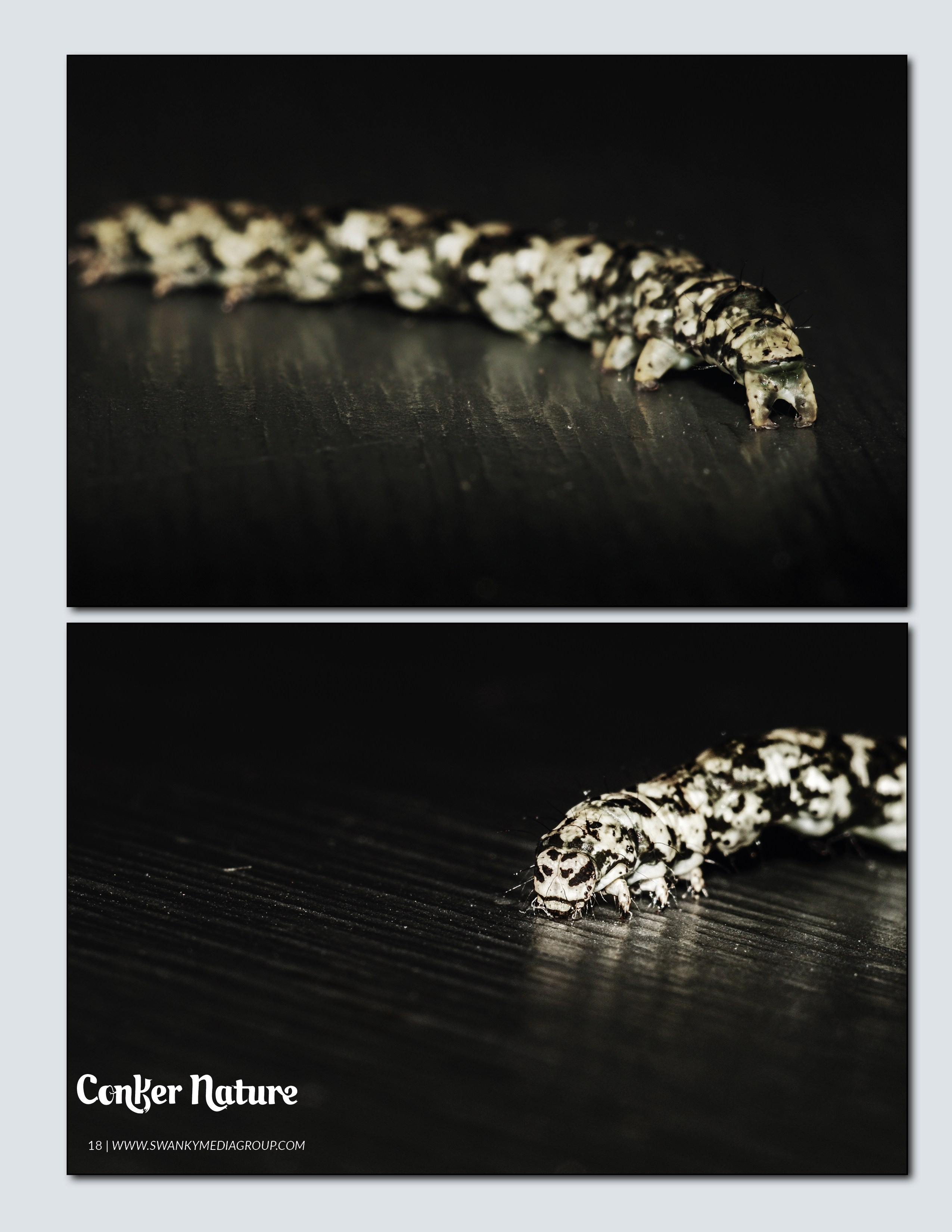 My publications in printed publications, magazines. Фотограф (photographer) Lischinski Vitaliy