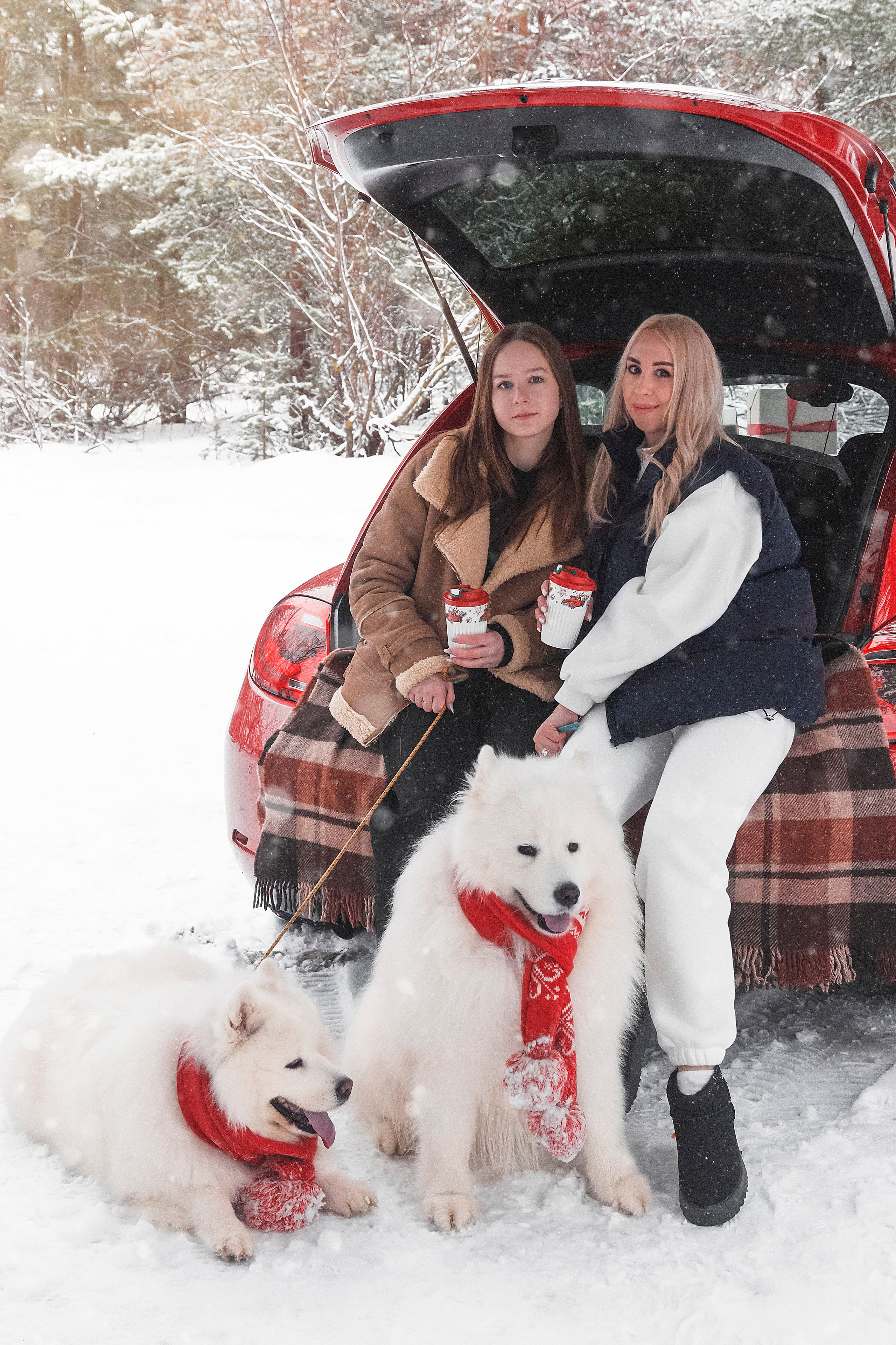 Новогодний красный жук. Фотограф Ольга Бобб Нижний Новгород