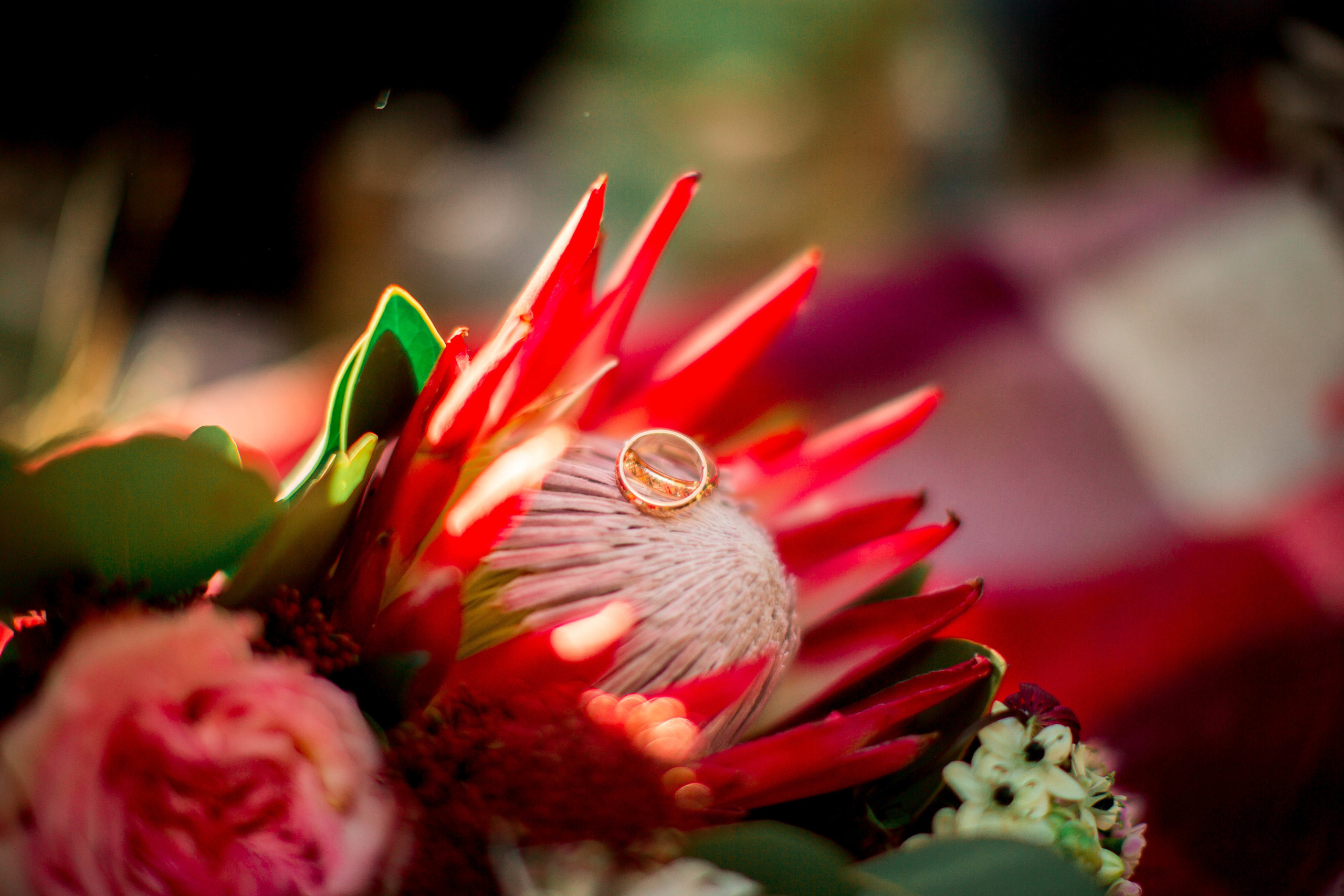 Мария&Алексей. Олеся Ефанова фотограф Иваново, Тейково и Плёс