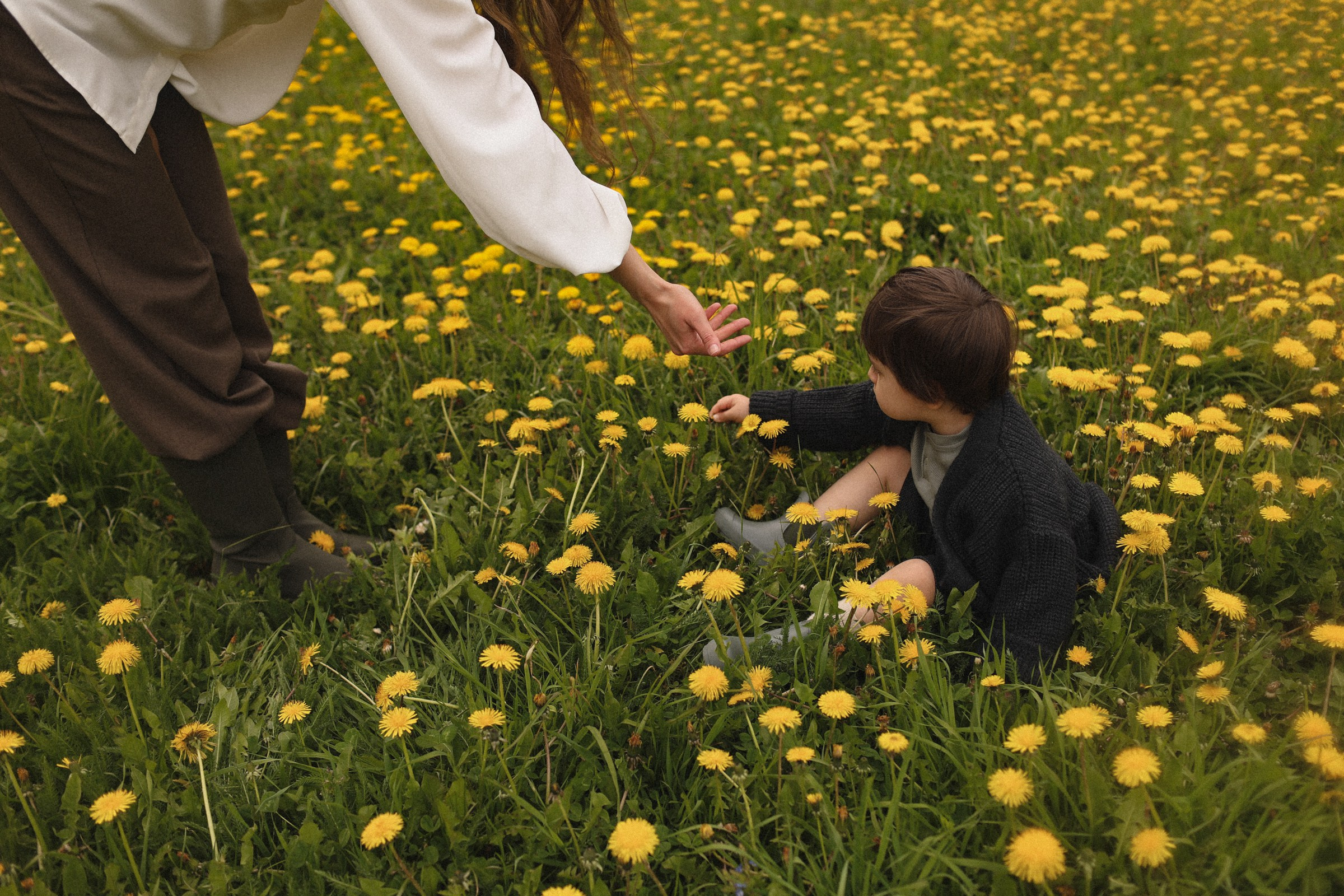 Одуванчики. Семейный фотограф в Москве Алевтина Носова