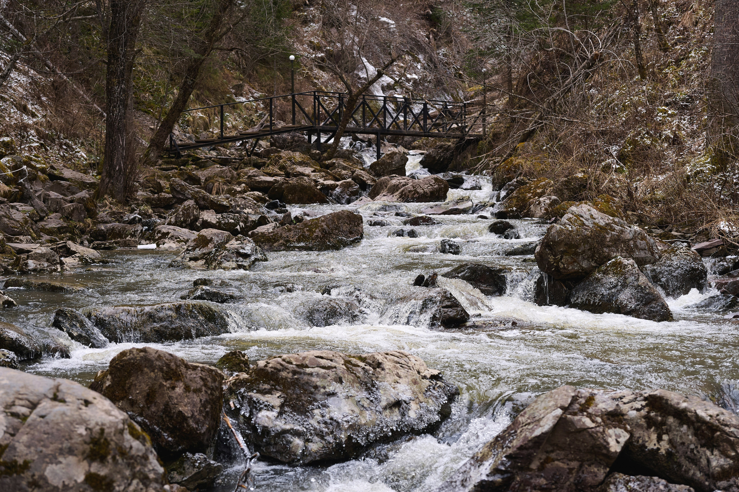 Антон и Наталья. Фотограф Опыт Качество Скорость Горный Алтай Барнаул