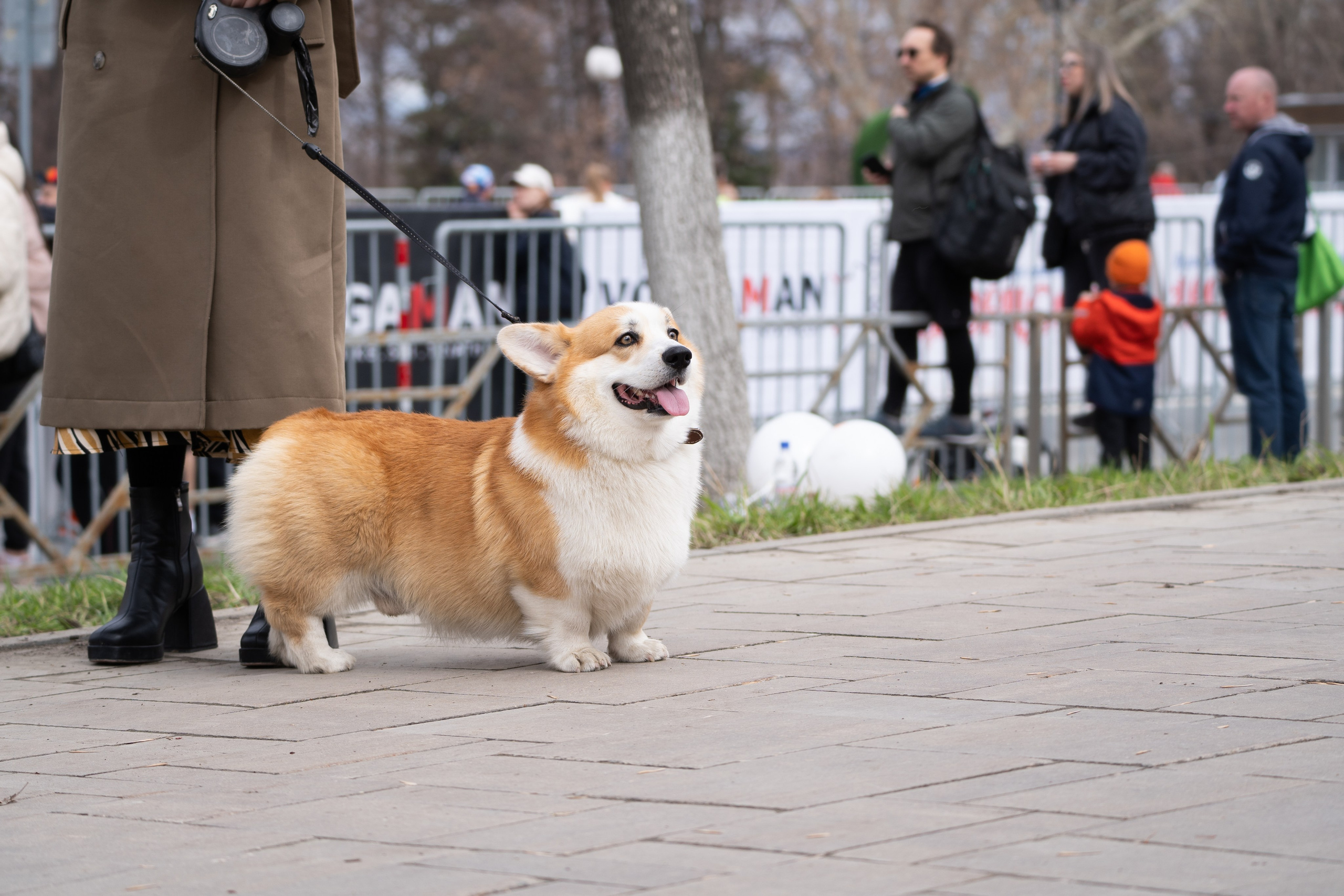 Самарский Космический Полумарафон 2024. Фотограф в Самаре Иван Булатов