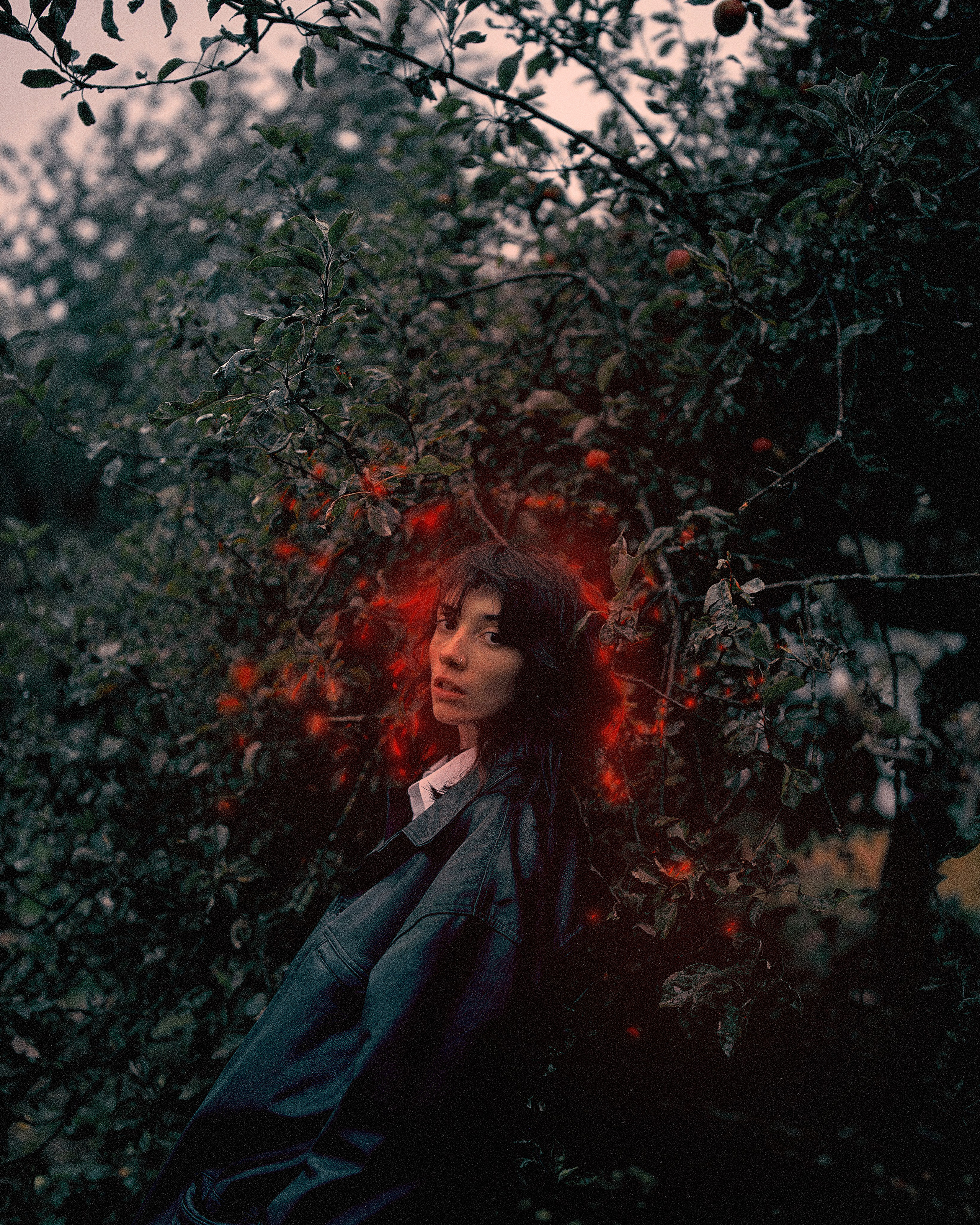 Дина в яблонях. Антон Арнольд | Фотограф Минск