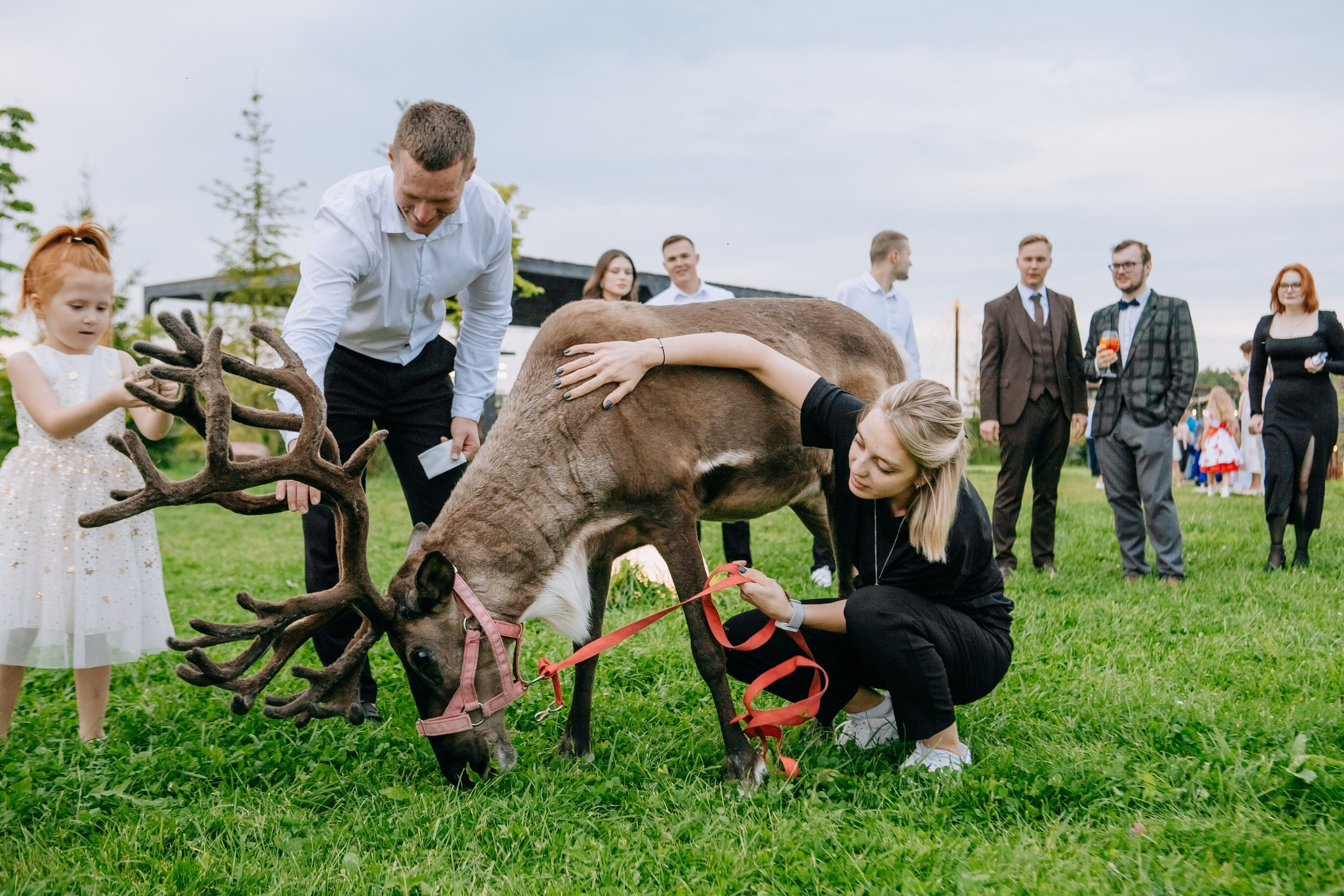 Михаил и Анастасия. Организация свадьбы — Свадебное агентство СПБ Luna Agency