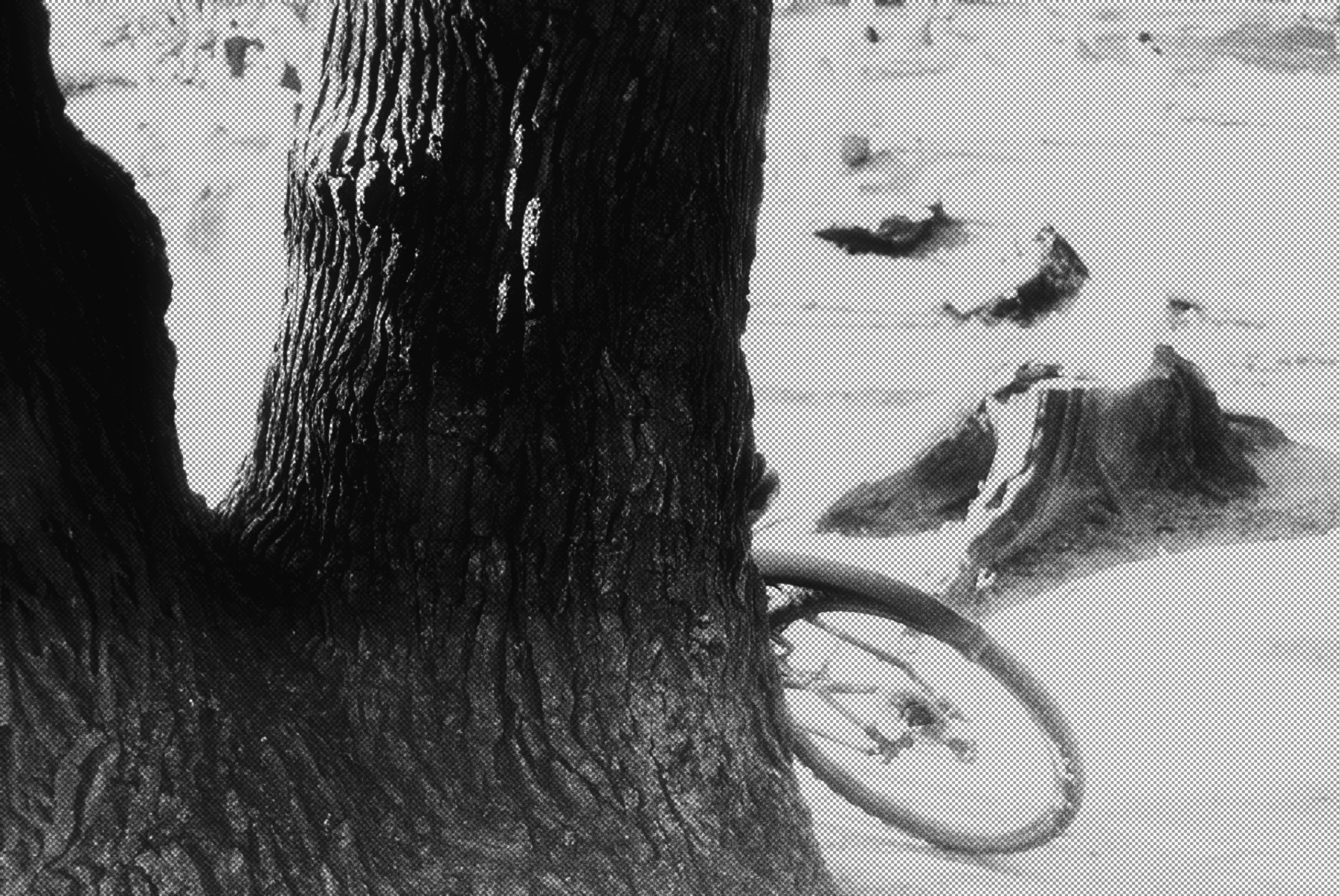 Улица на пленке. Fomapan 400. Фотограф и оператор мероприятий, концертов и портретов в городе Москва