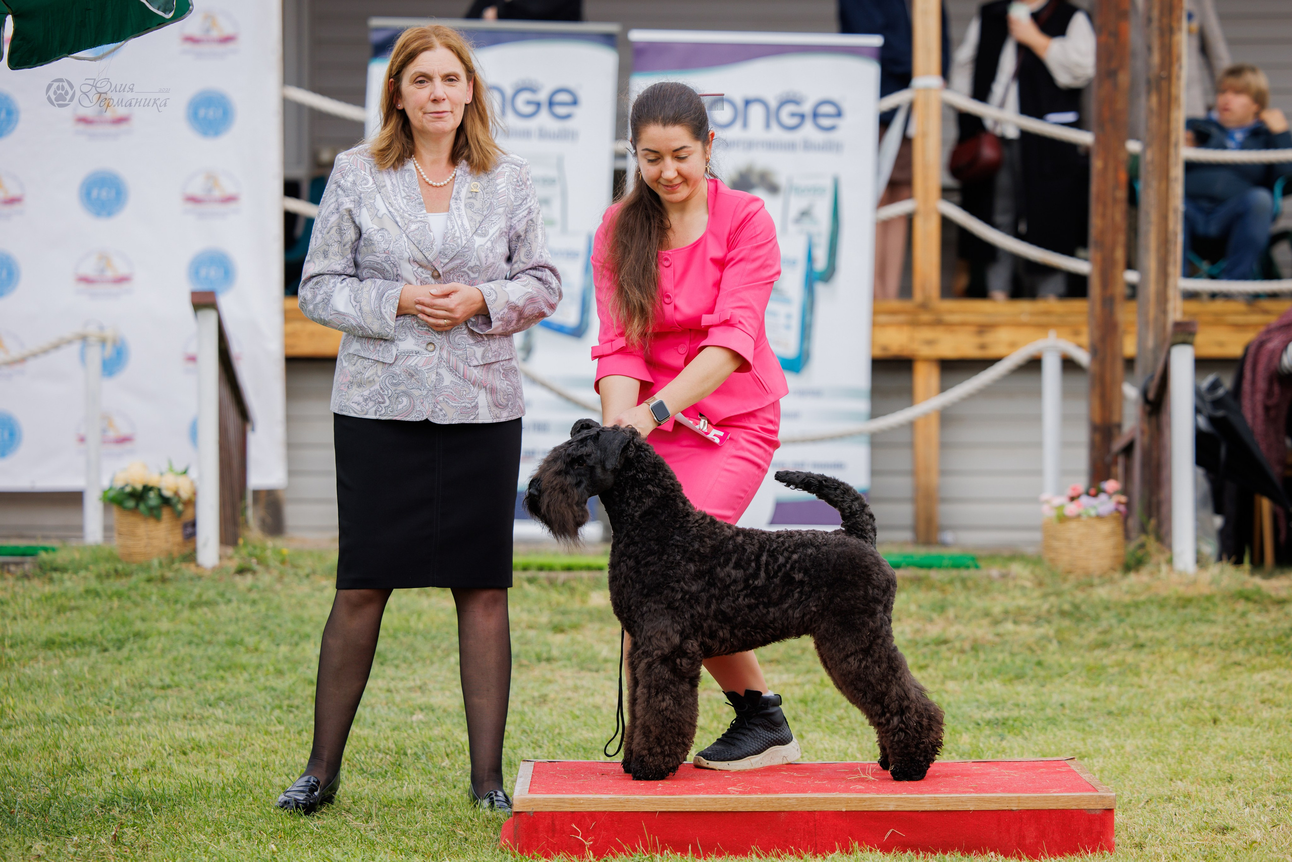 Армения,Ереван 3хCACIB 15-17.10.2024. Фотограф-анималист Юлия Германика