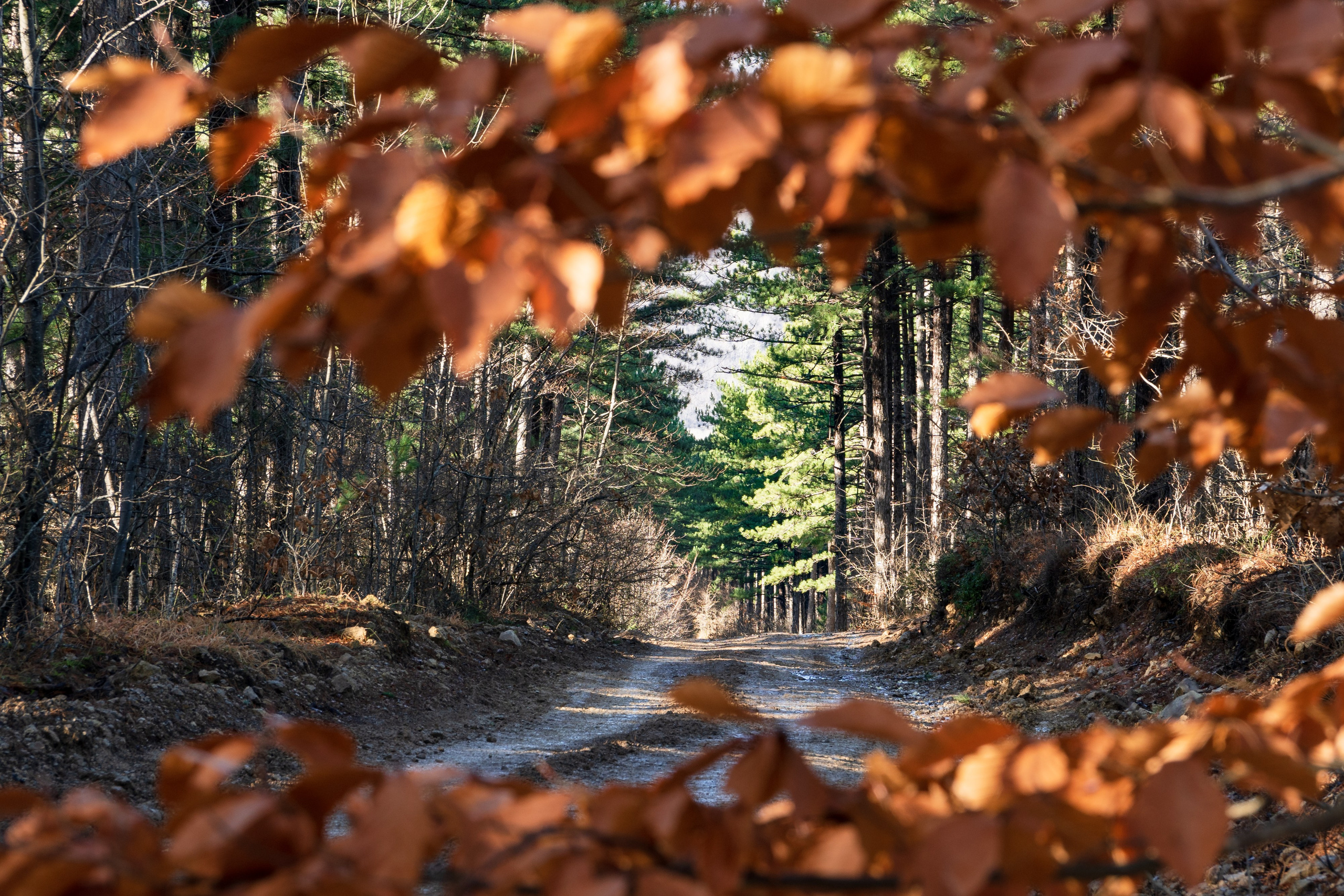 Пейзаж от Ольги Пановой. Интерьерный и архитектурный фотограф в Москве Панова Ольга