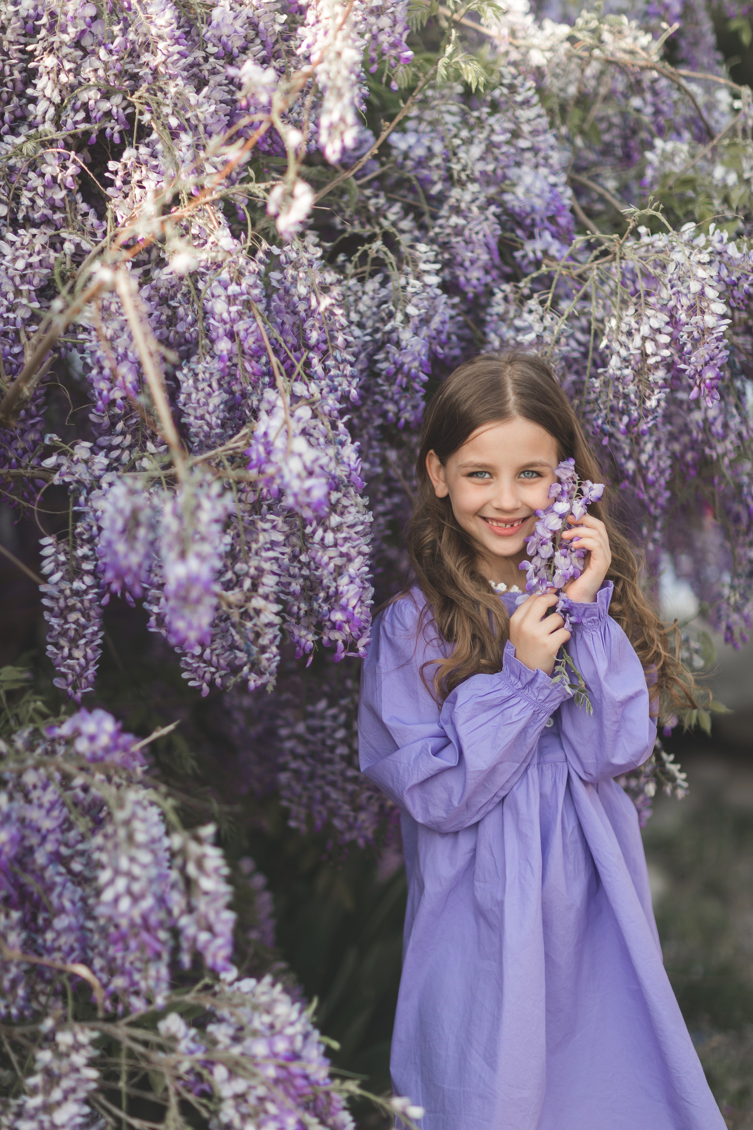 Глициния цветение в краснодаре. Семейный и детский фотограф Краснодар Валерия Власенко