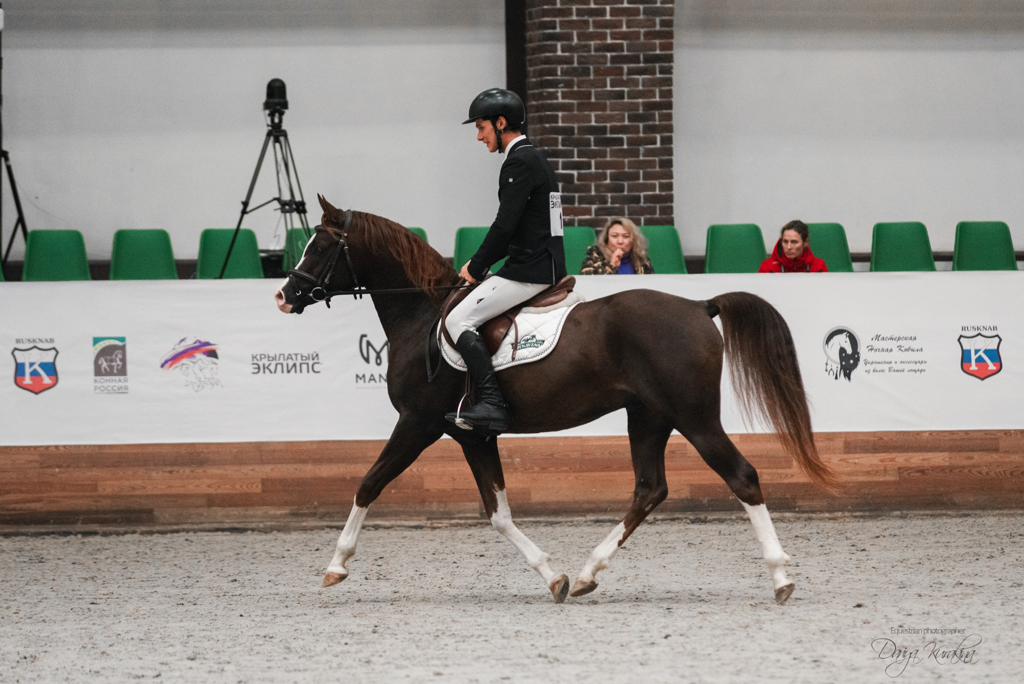 8-я международная выставка Конная Россия. Конный фотограф Куракина Дарья • Фотосессии с лошадьми