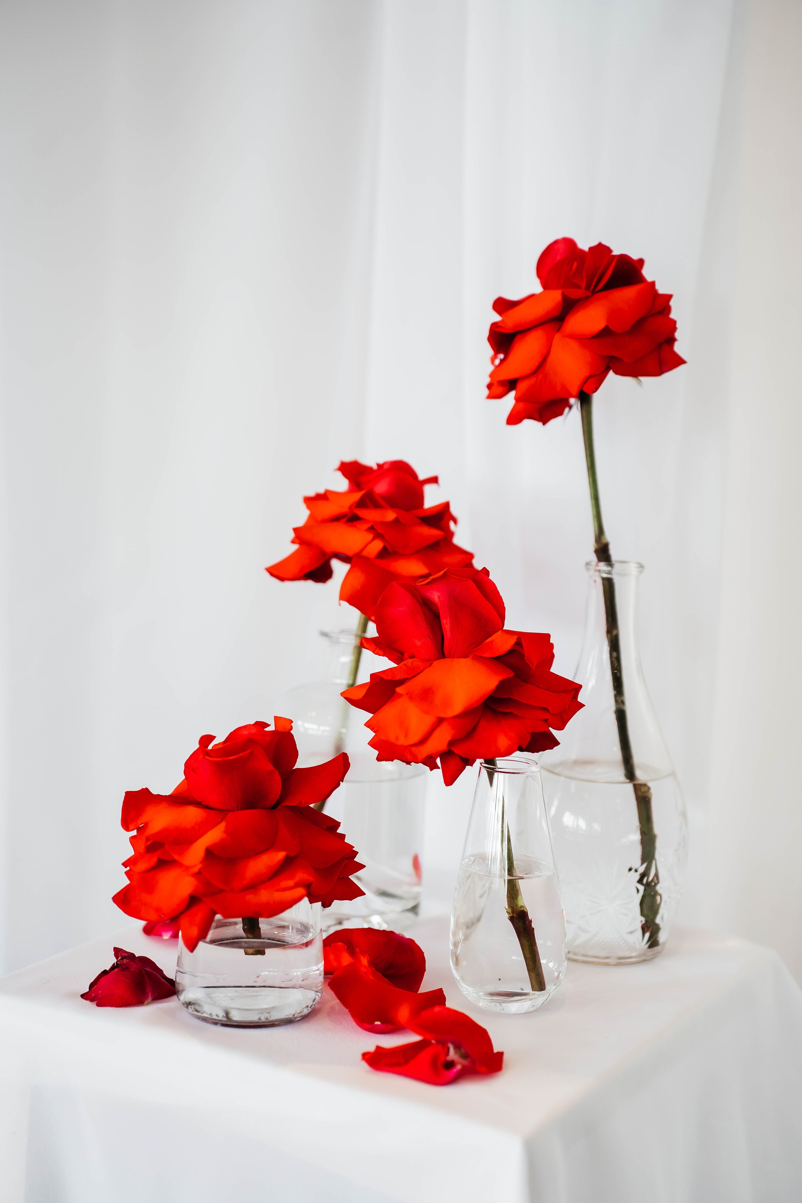 Майкл & Лиля. Фотограф Абакумова Анастасия