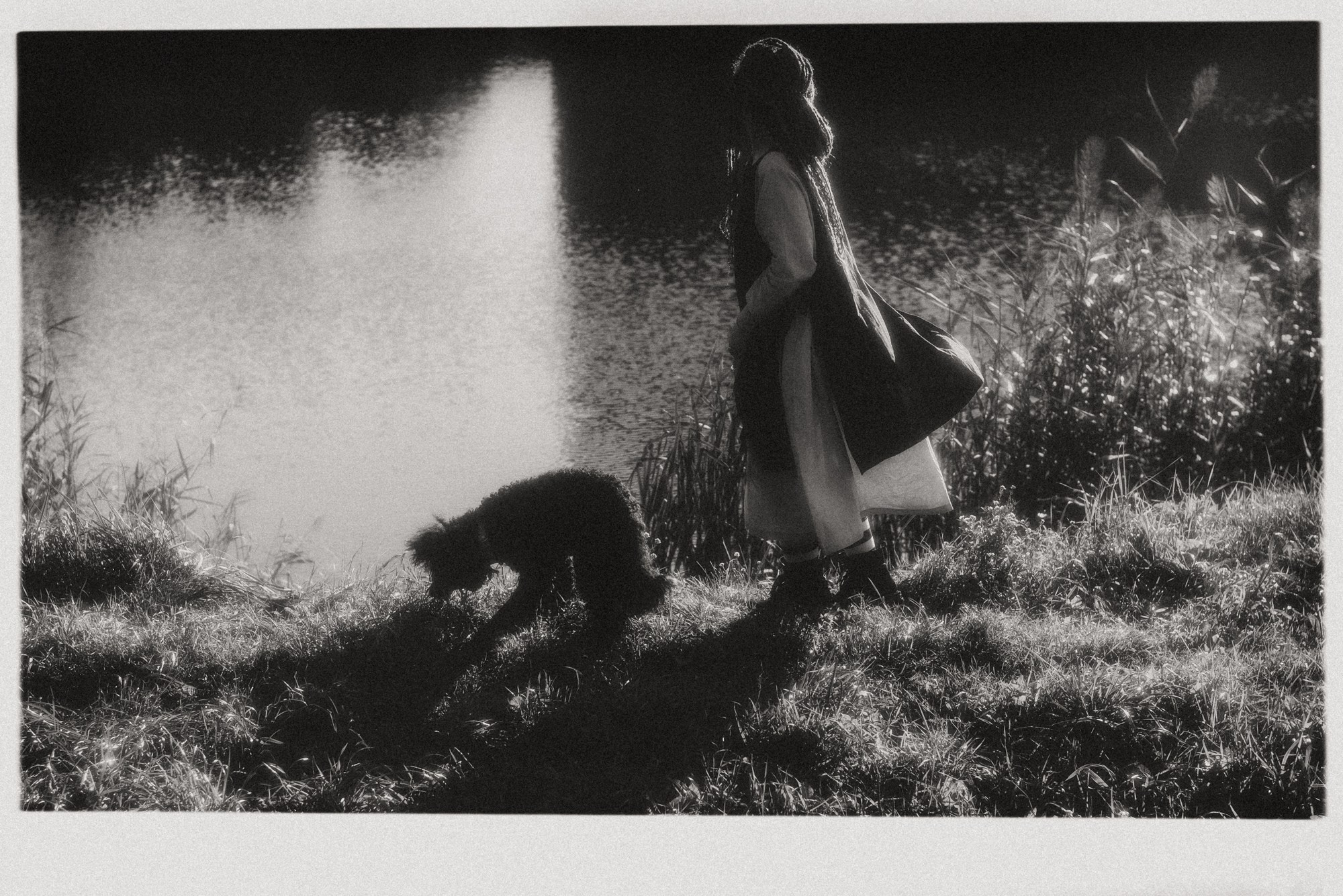 Фотосессия пары с собакой в Тюмени — Стася, Кирилл и Каренин. Портретный фотограф Тюмень Дарья Мустафина