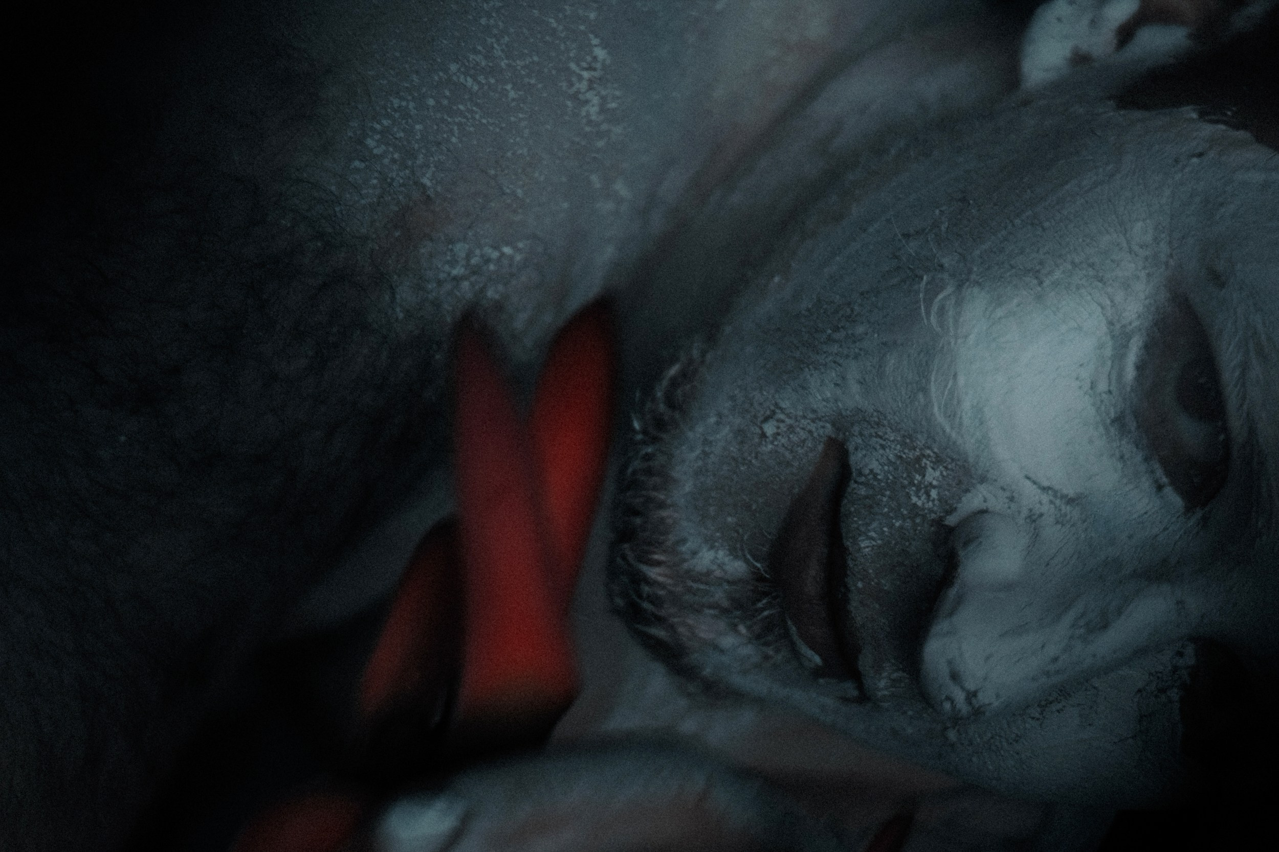 Николай. Фотограф Дарья Мустафина, Тюмень