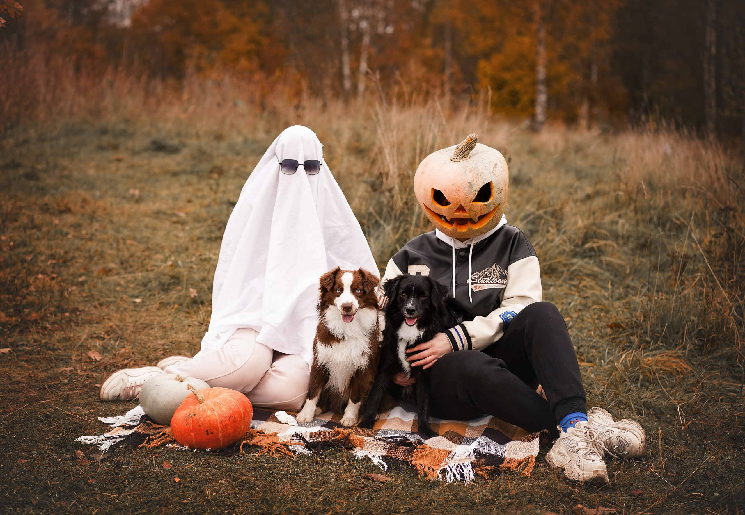 Фотодень Хэллоуин 2025. Фотограф-анималист в Санкт-Петербурге Яна Мартынова