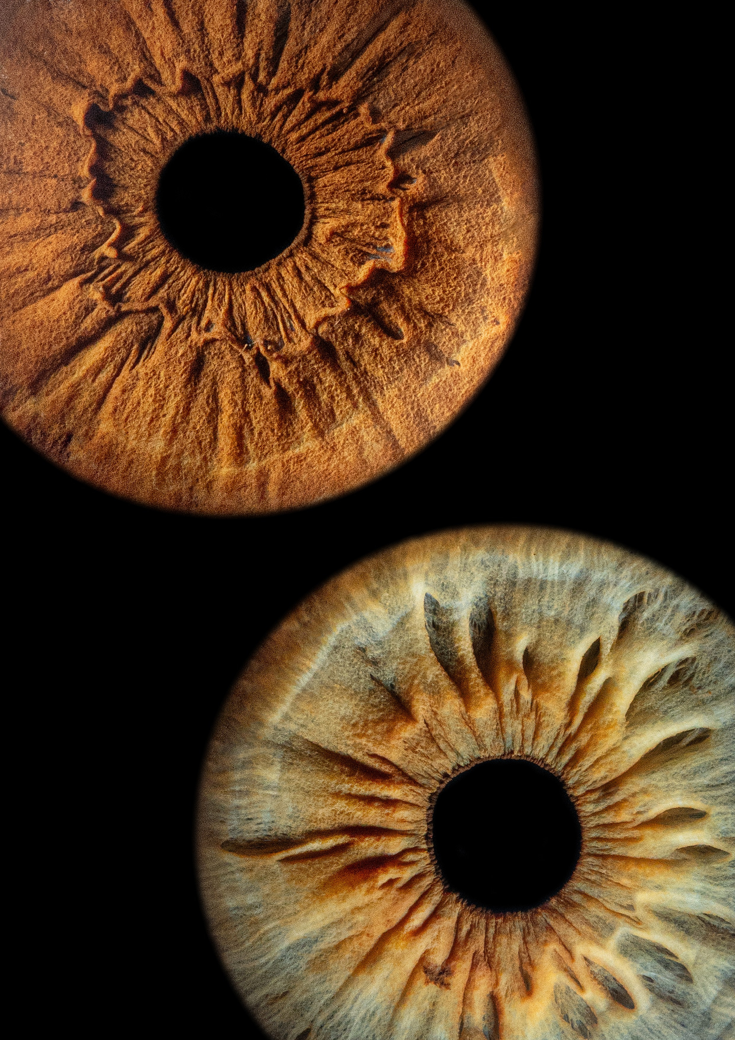 Примеры работ. Мой глаз