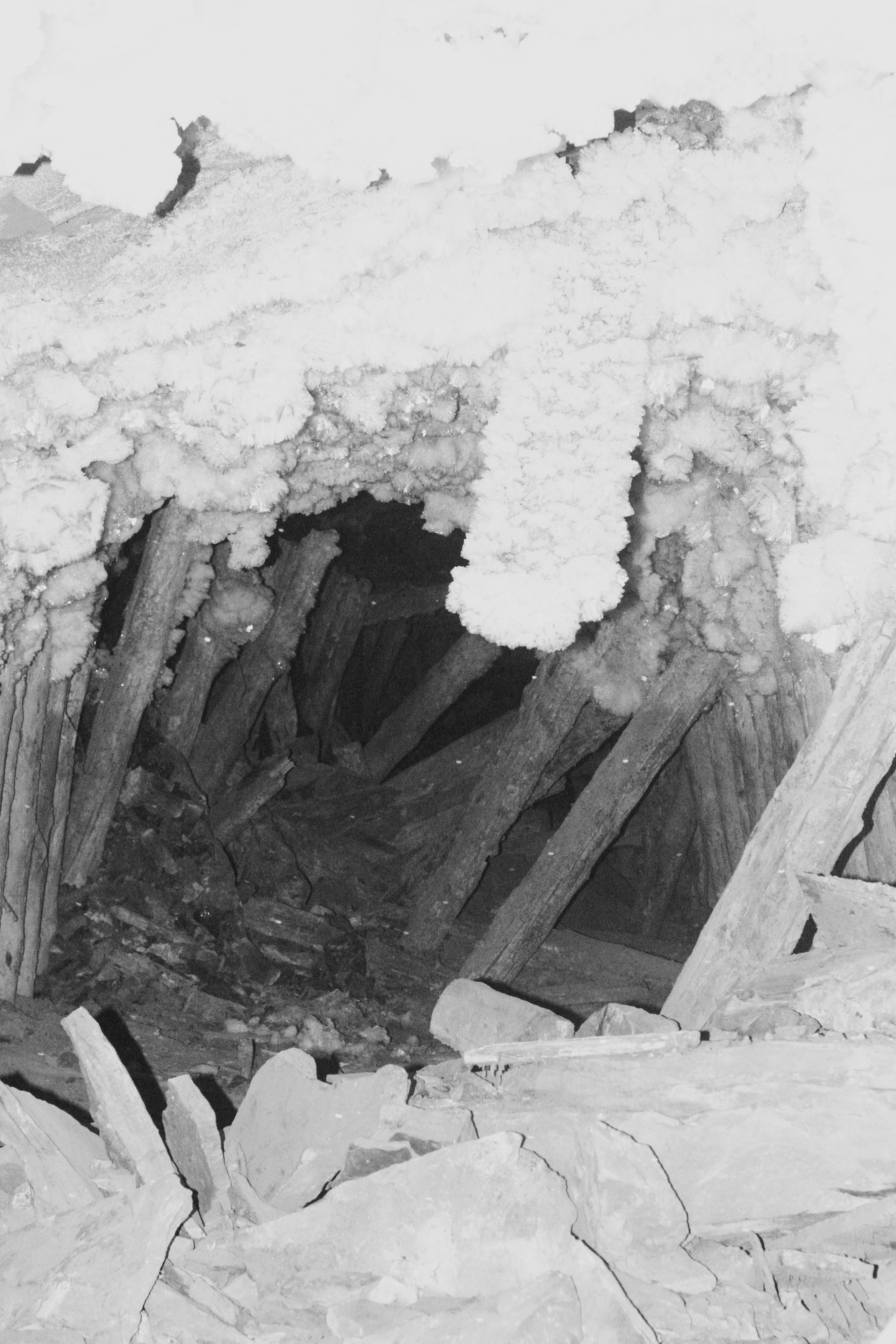 Train to the Future. Kristina Sergeeva