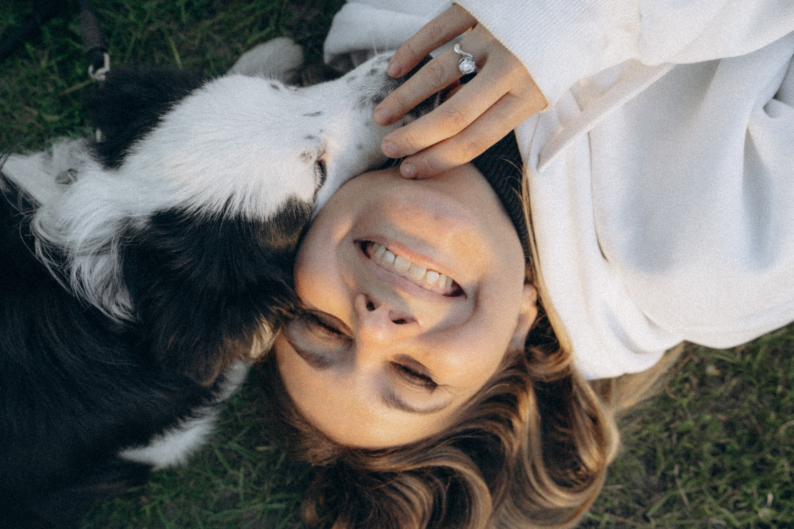 Таня, Дима и Чейси. Фотограф анималист в Москве и Санкт-Петербурге Свиридова Анна