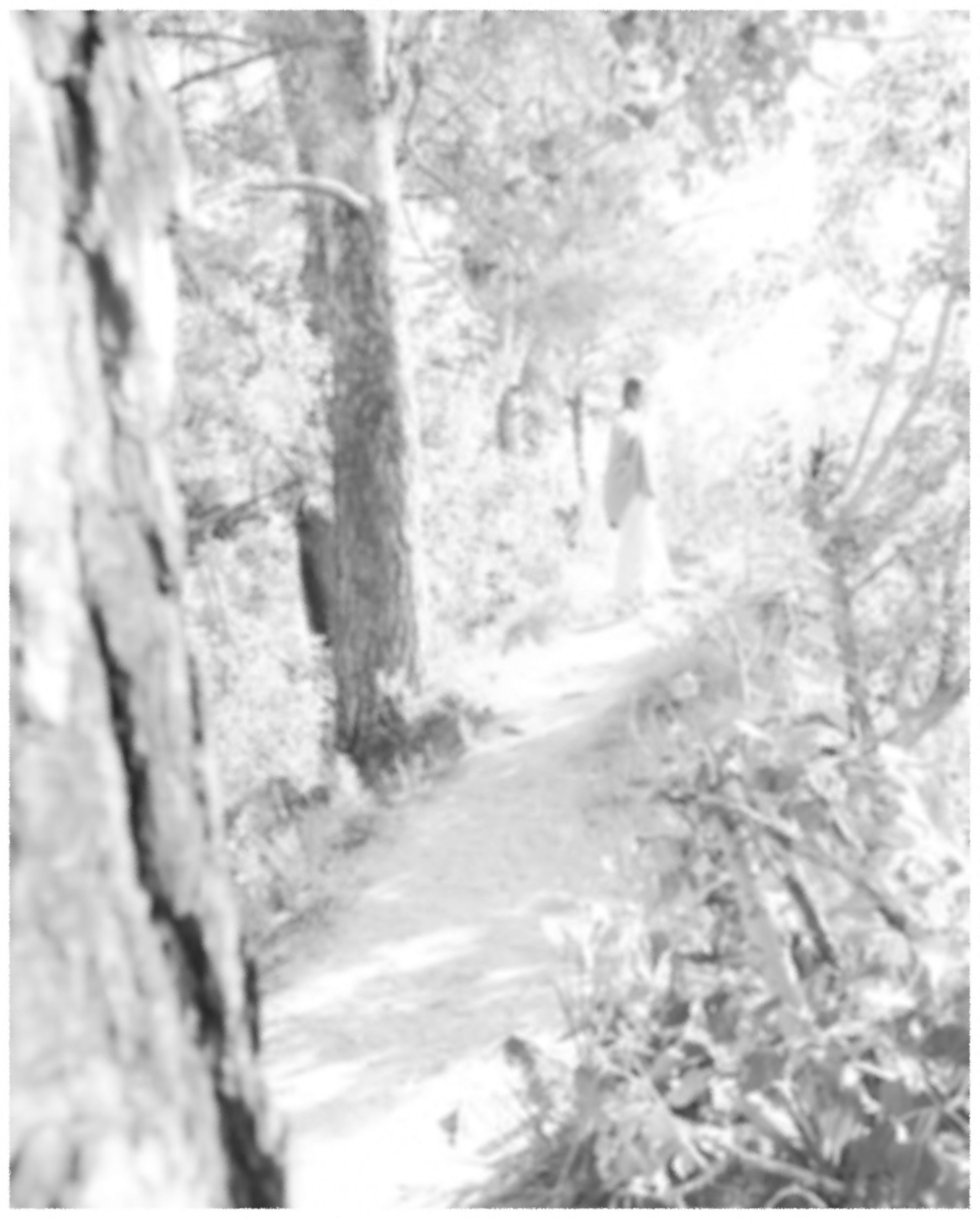 Фотограф Екатерина Фатьянова