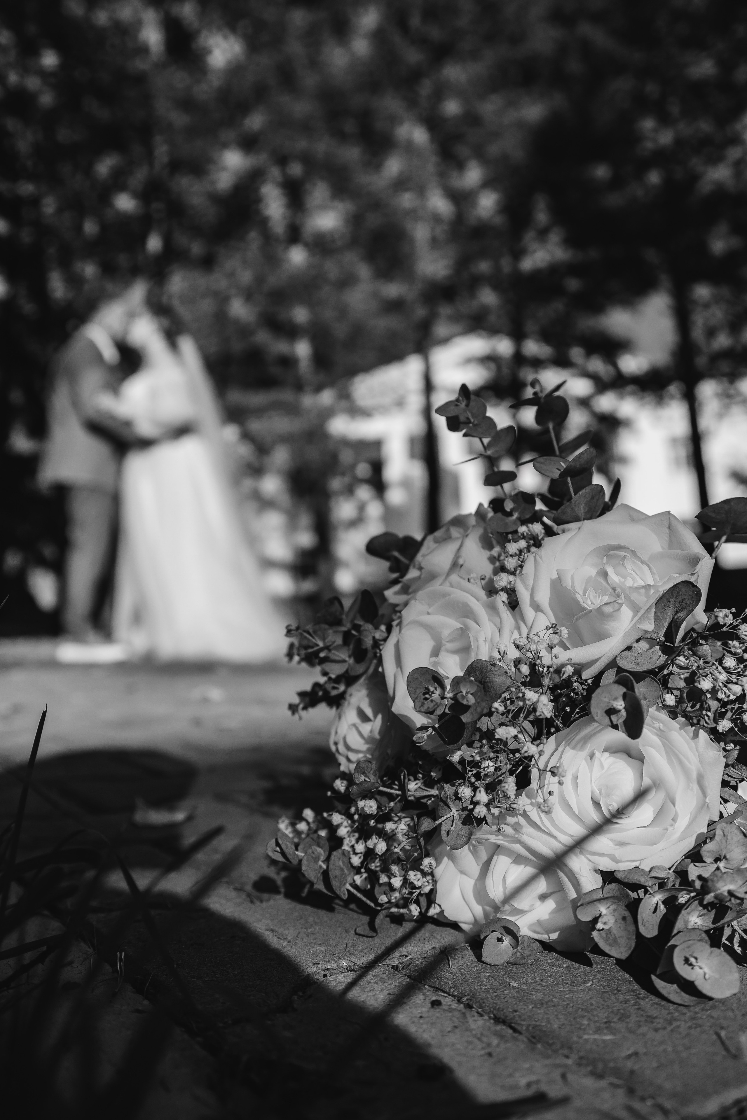 V&N. Street photographer