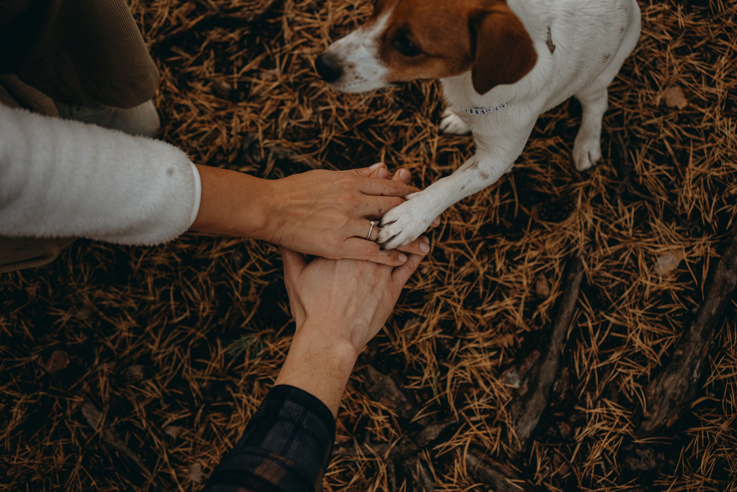 Лея и ее семья. Фотограф — Анималист | Санкт-Петербург