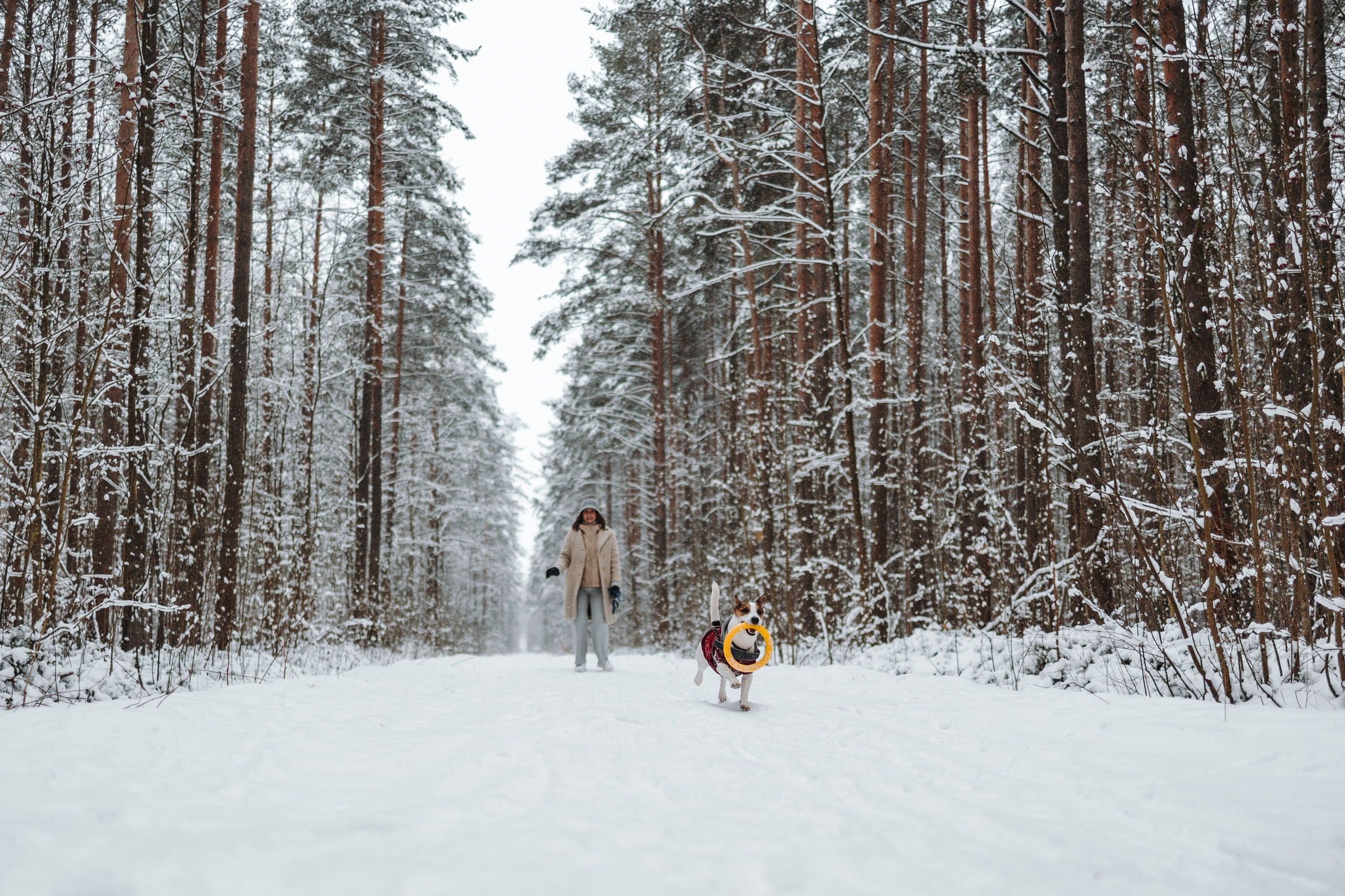 Мики и его семья. Фотограф — Анималист | Санкт-Петербург