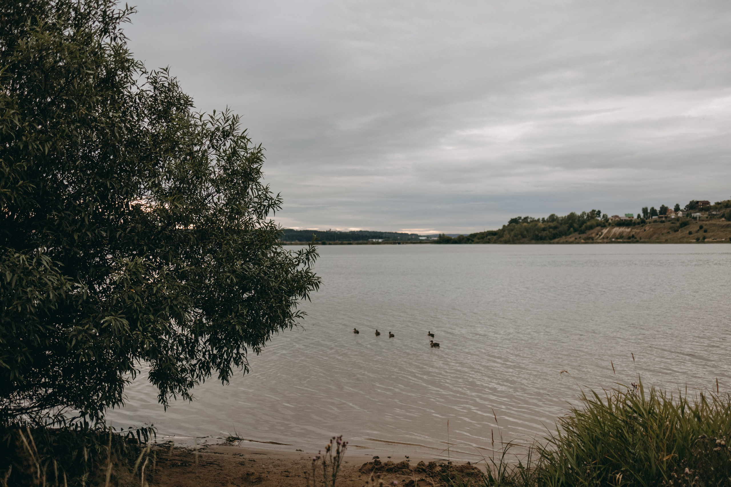 Дом у реки. Фотограф — Анималист | Санкт-Петербург
