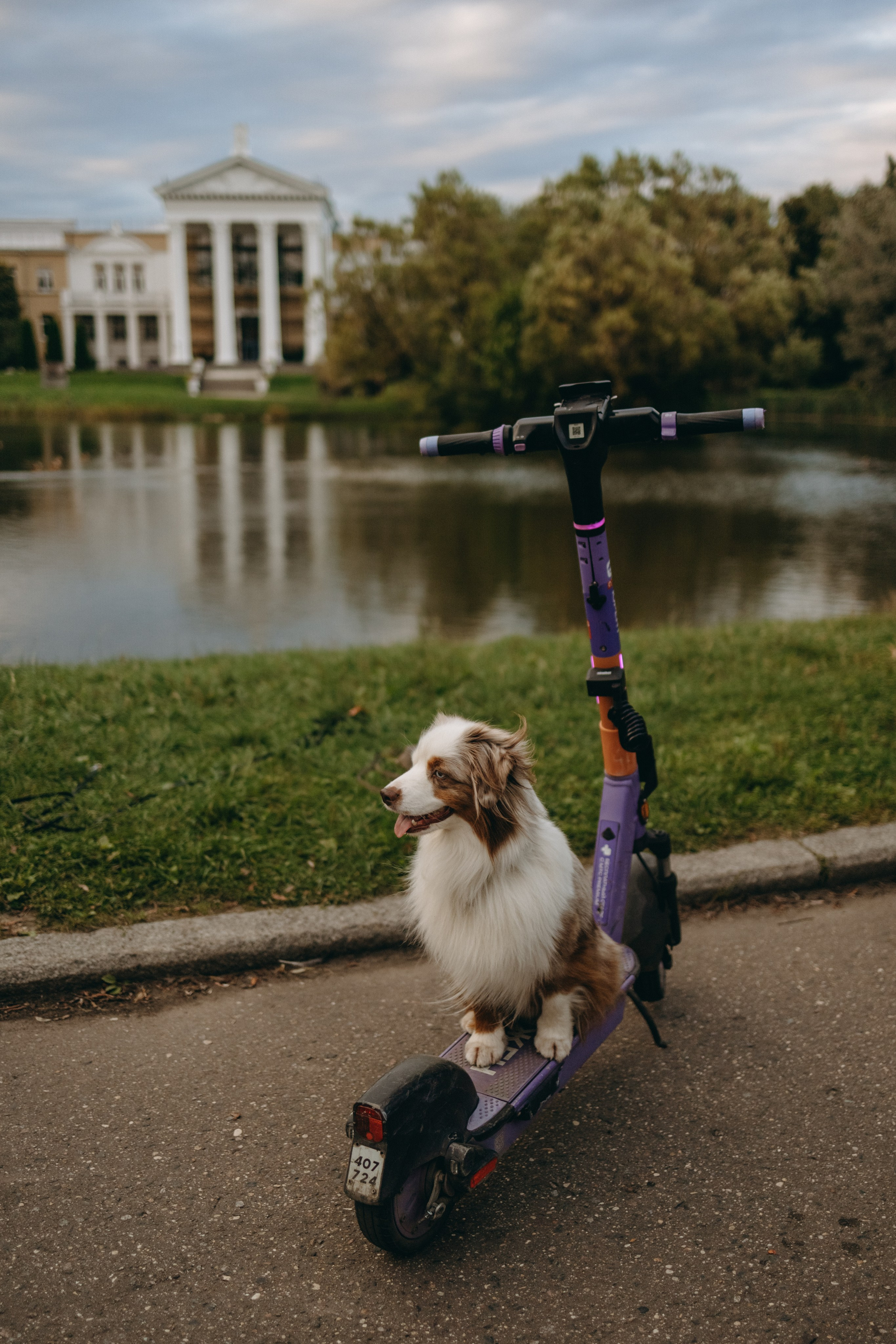 Маша и Эклер. Фотограф — Анималист | Санкт-Петербург
