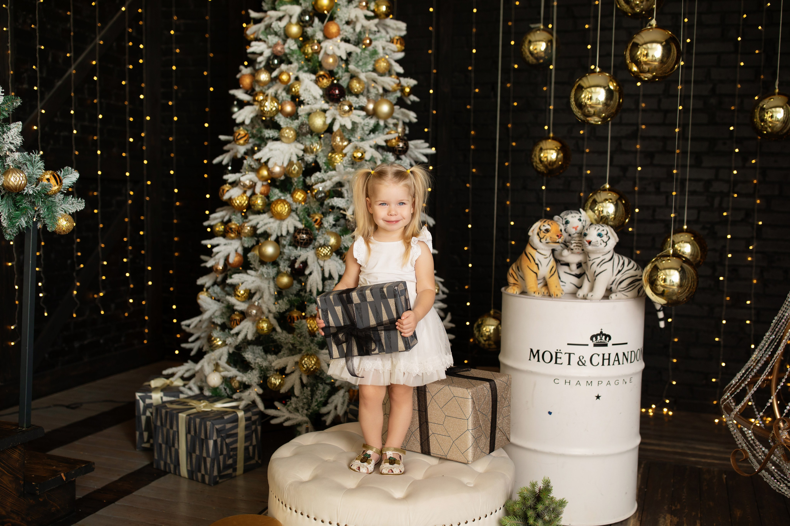 Фотограф на новый год, новогодняя фотосессия в Хабаровске, Новый год Хабаровск, новогодняя фотосессия в студии Хабаровск, студийная новогодняя фотосессия Хабаровск, фотограф Хабаровск, фотосессия 2026 Хабаровск,  домашняя новогодняя фотосессия, 