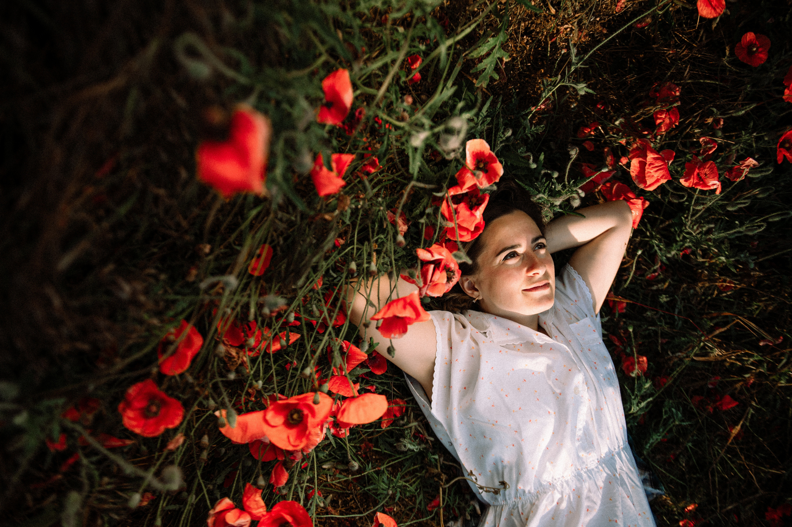 Маковое поле на рассвете. Фотограф Котова Валентина