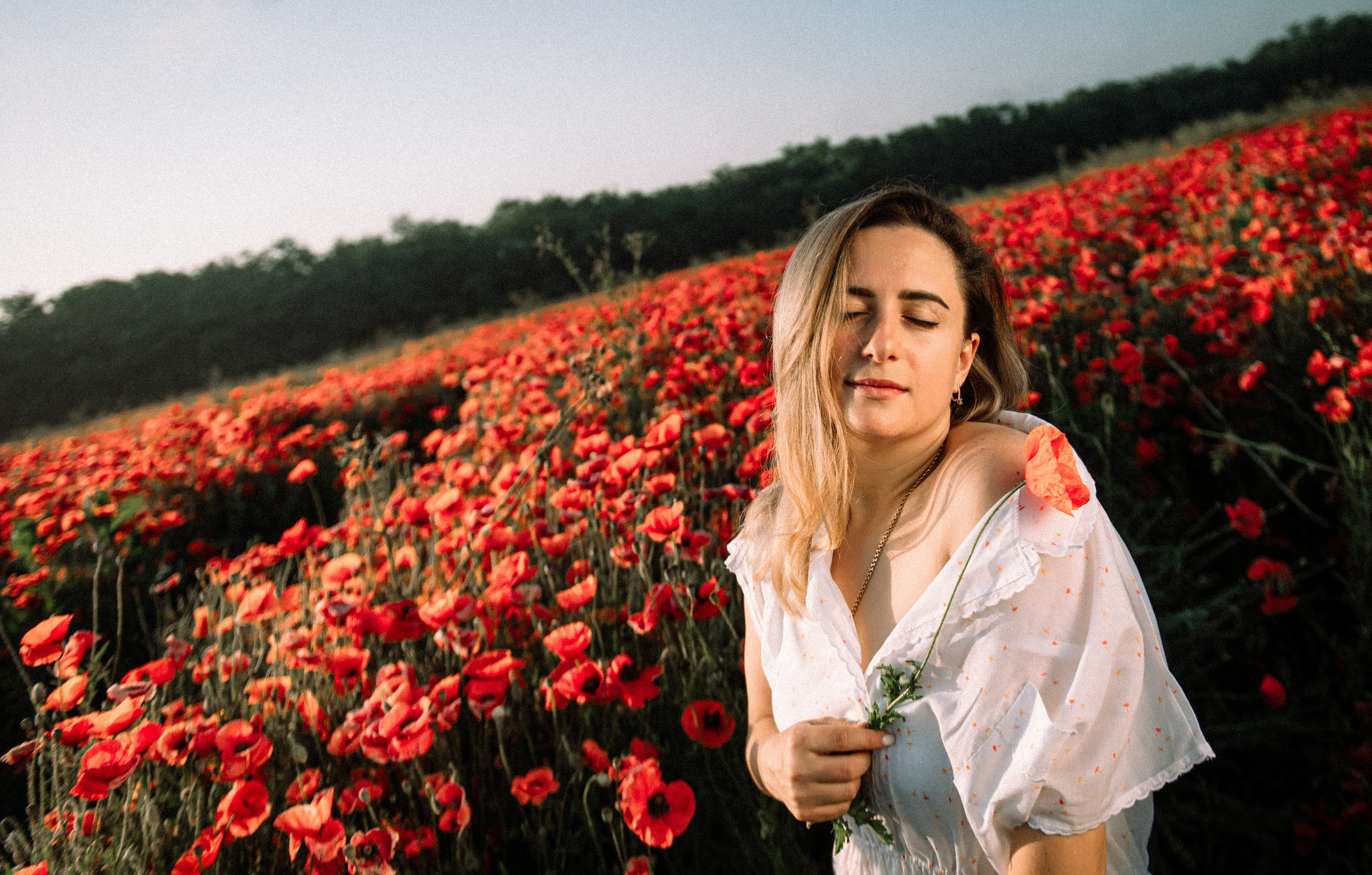 Маковое поле на рассвете. Фотограф Котова Валентина