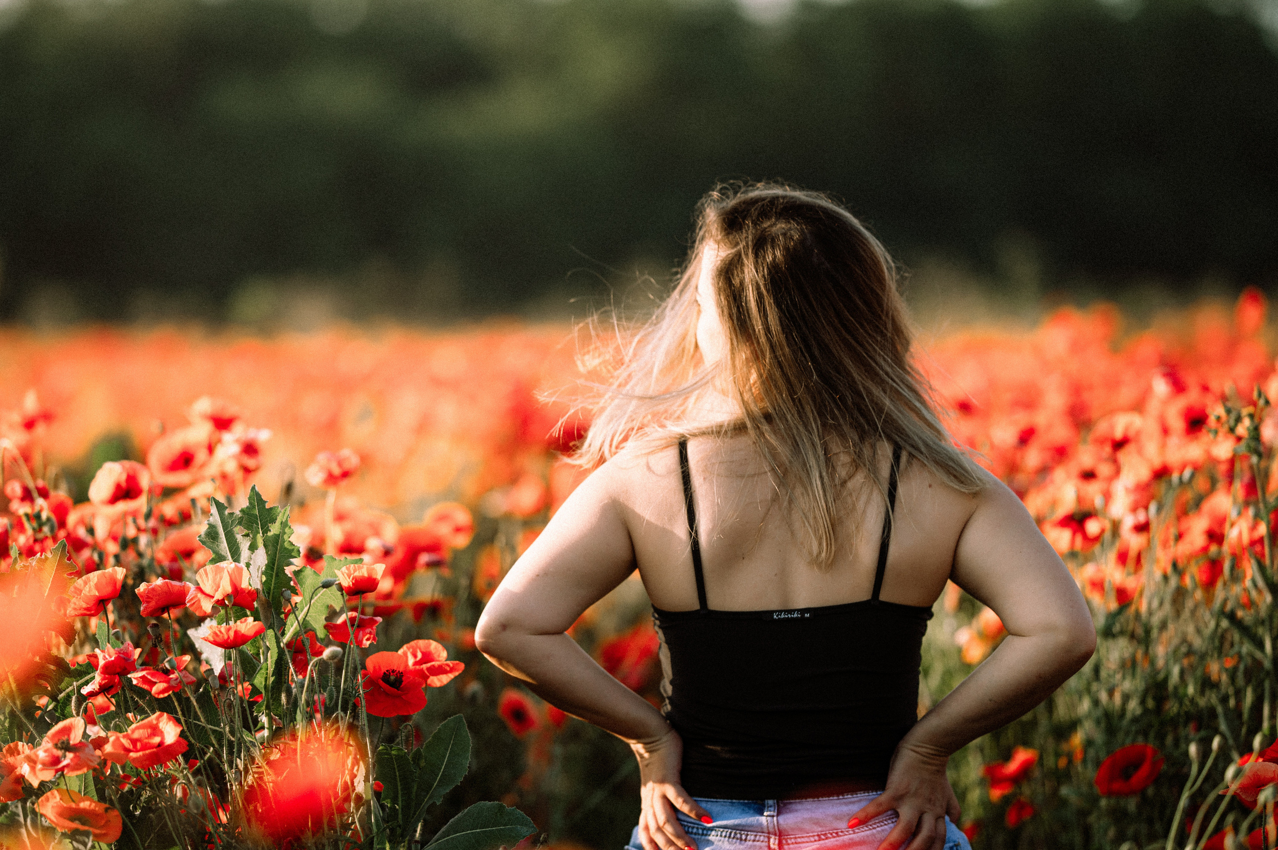 Маковое поле на рассвете. Фотограф Котова Валентина
