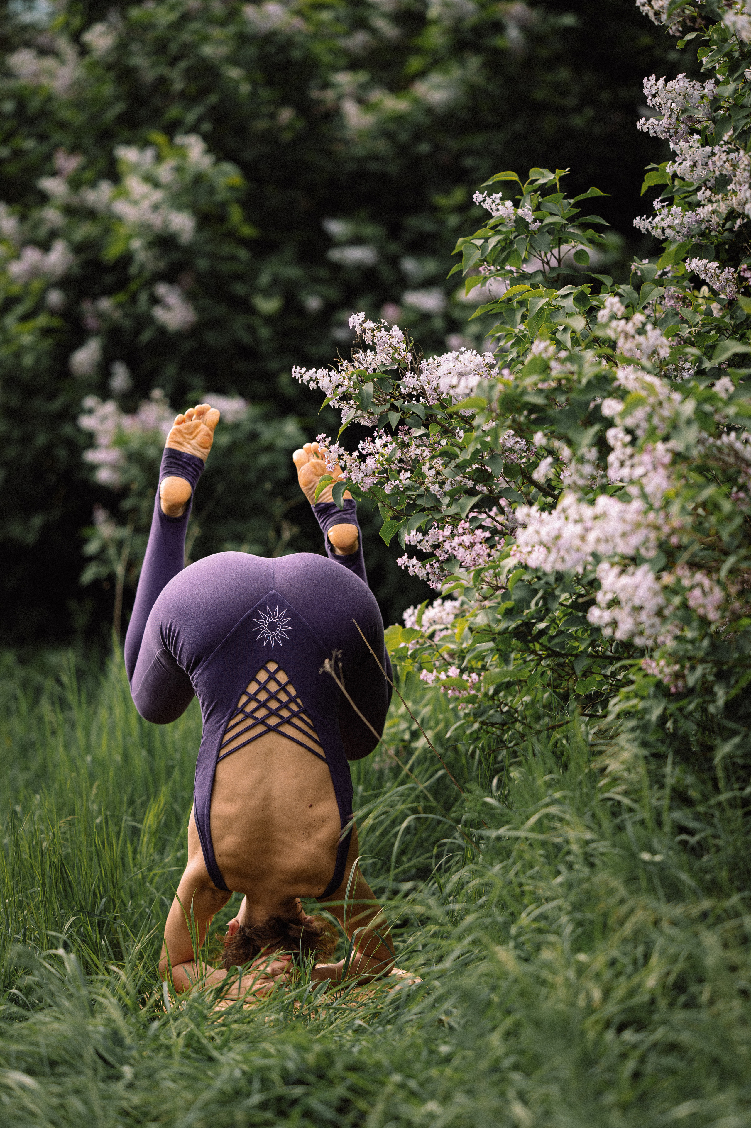 Йога в сирени. Фотограф Котова Валентина